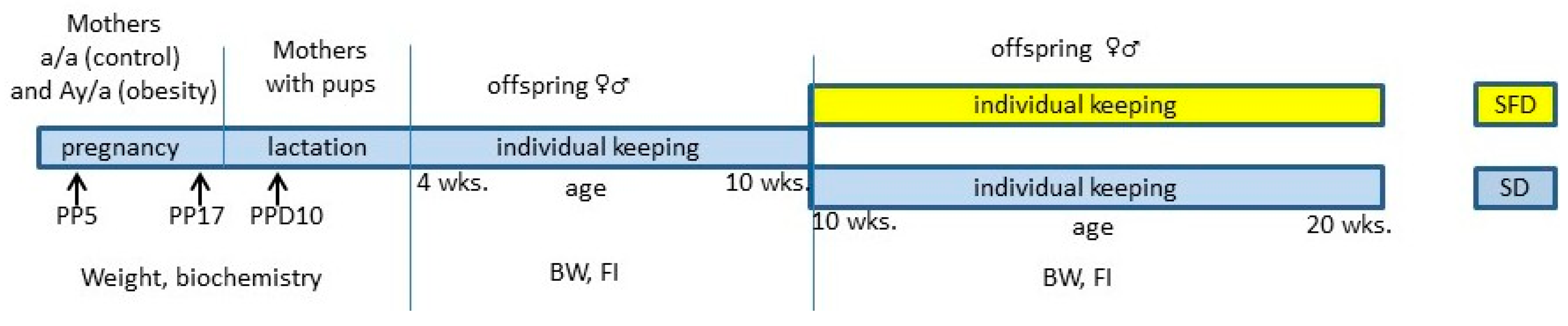 Ijms 24 05610 g007 Ijms 24 05610 g007