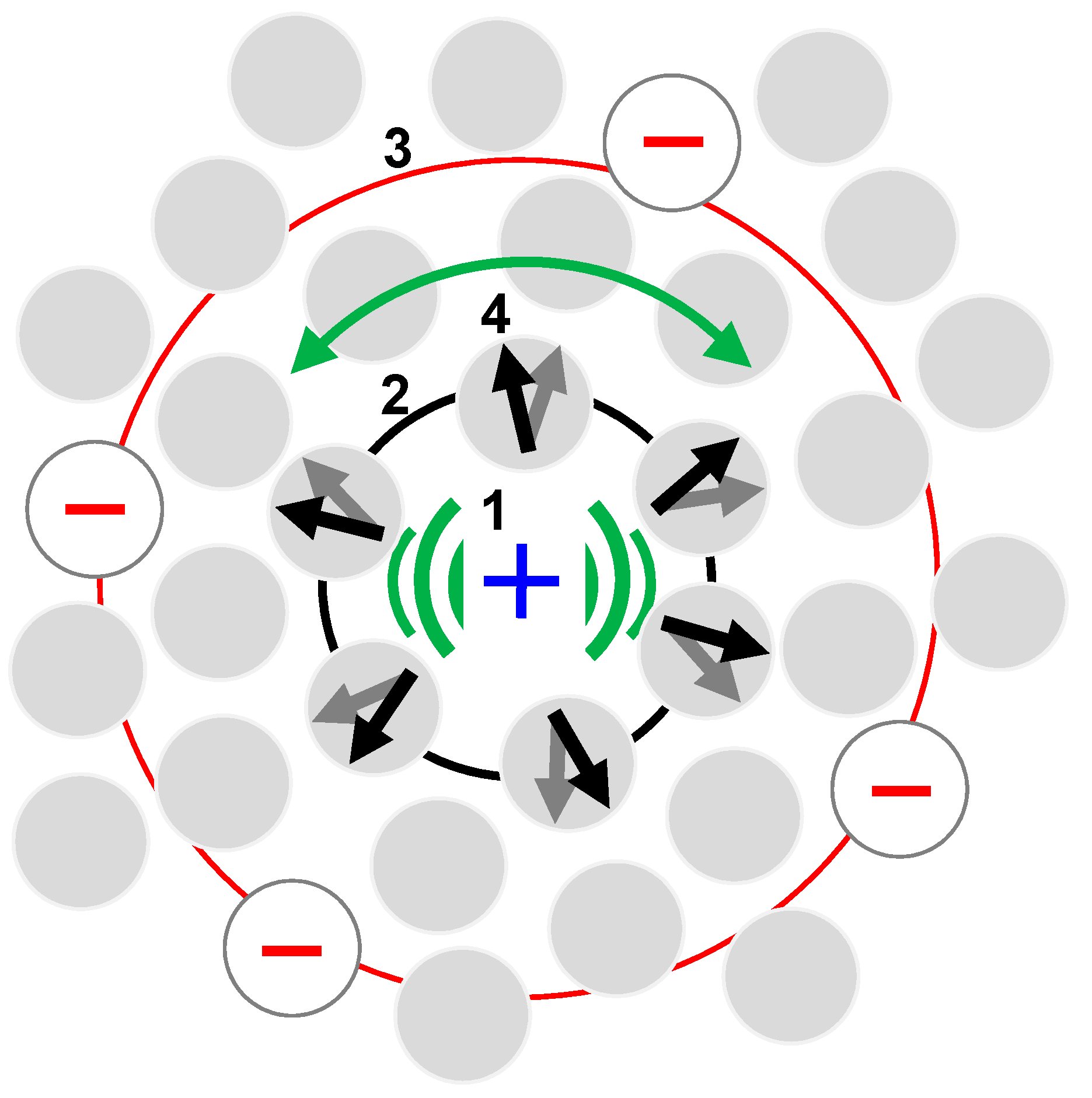 Ijms 24 05630 g002 Ijms 24 05630 g002