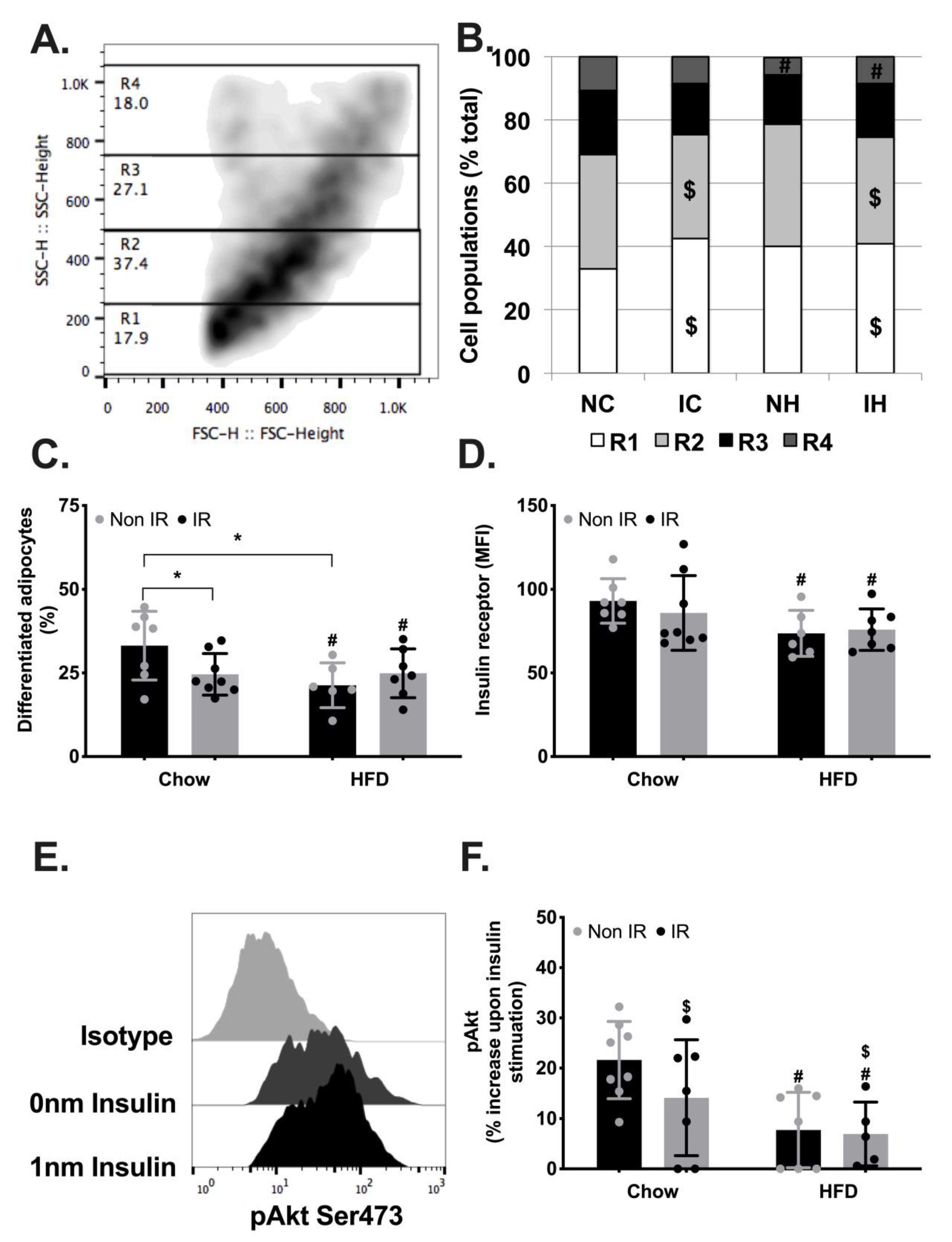 Ijms 24 05631 g004 Ijms 24 05631 g004