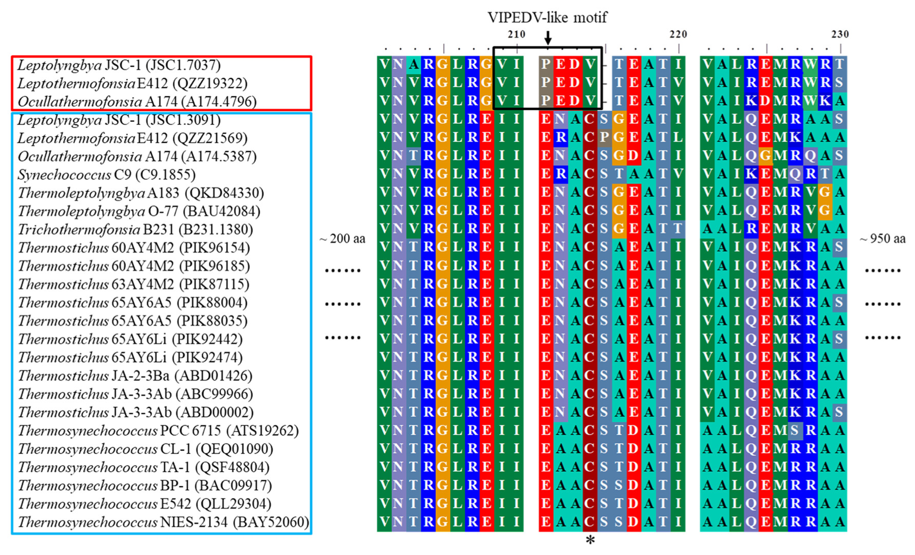 Ijms 24 05632 g003 Ijms 24 05632 g003