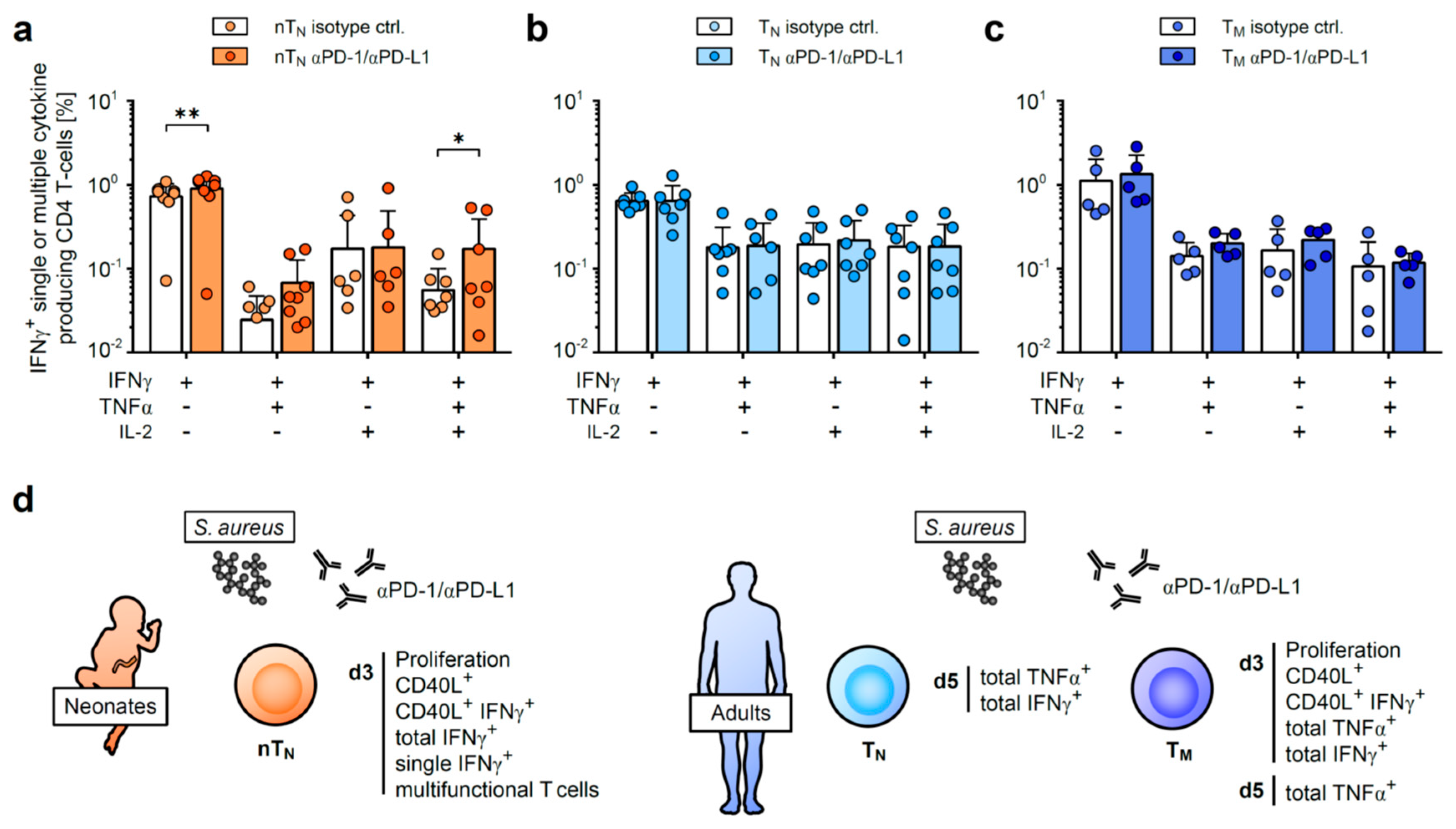 Ijms 24 05662 g005 Ijms 24 05662 g005