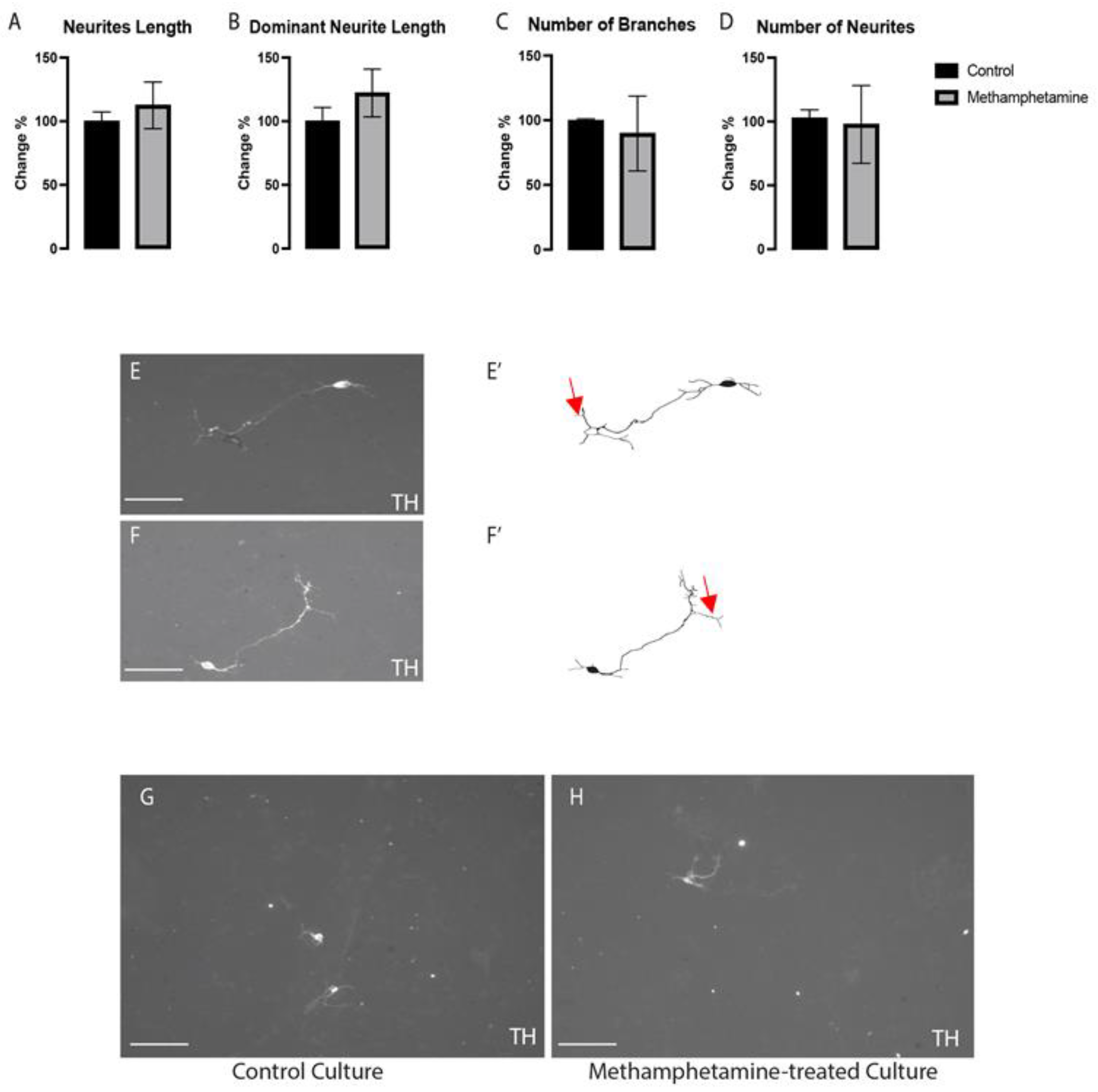 Ijms 24 05668 g003 Ijms 24 05668 g003