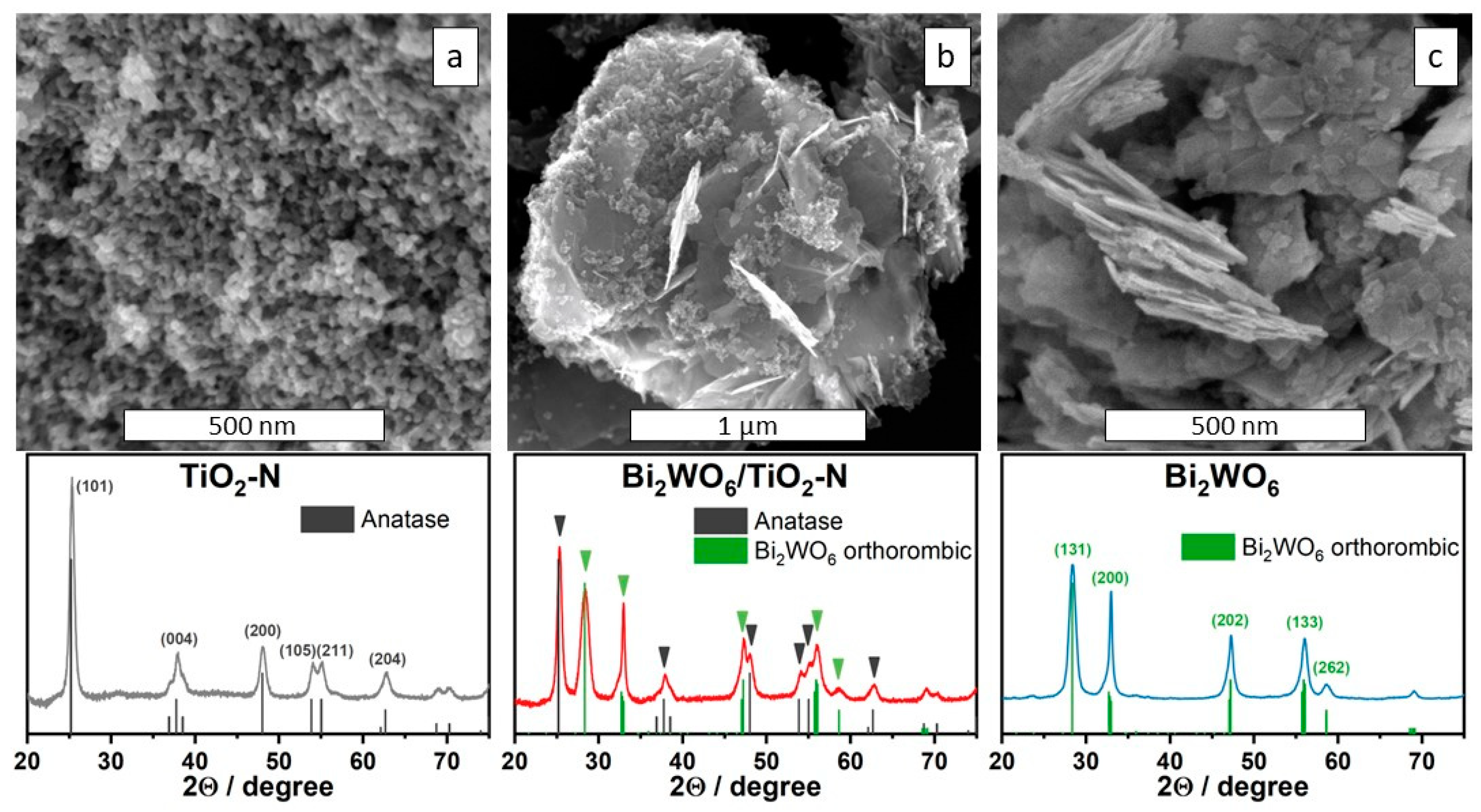 Ijms 24 05693 g001 Ijms 24 05693 g001