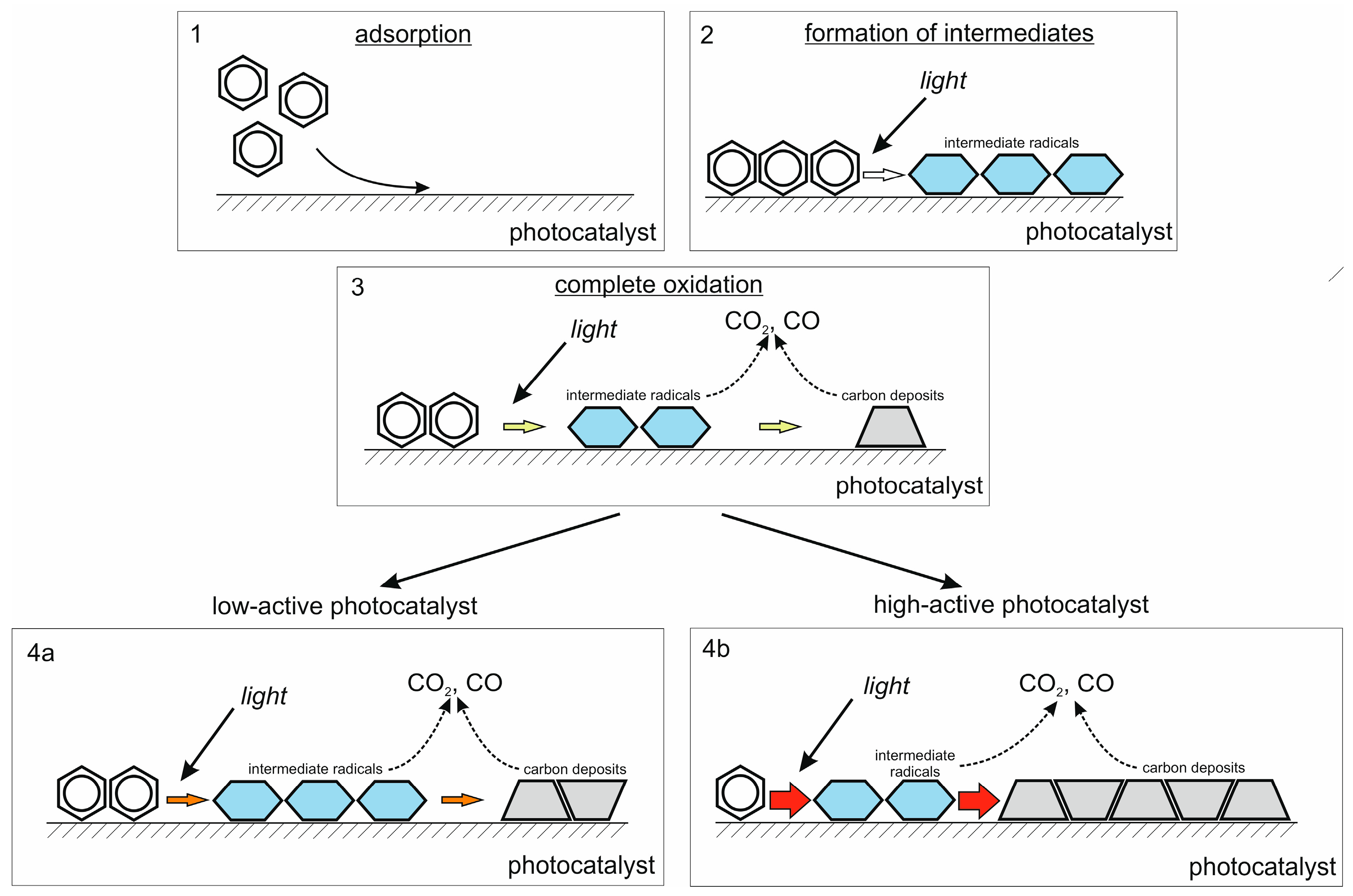 Ijms 24 05693 g007 Ijms 24 05693 g007