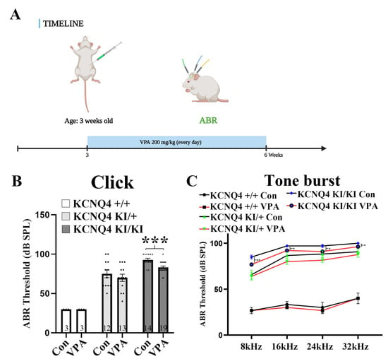 IJMS | Free Full-Text | Valproic Acid Inhibits Progressive Hereditary ...