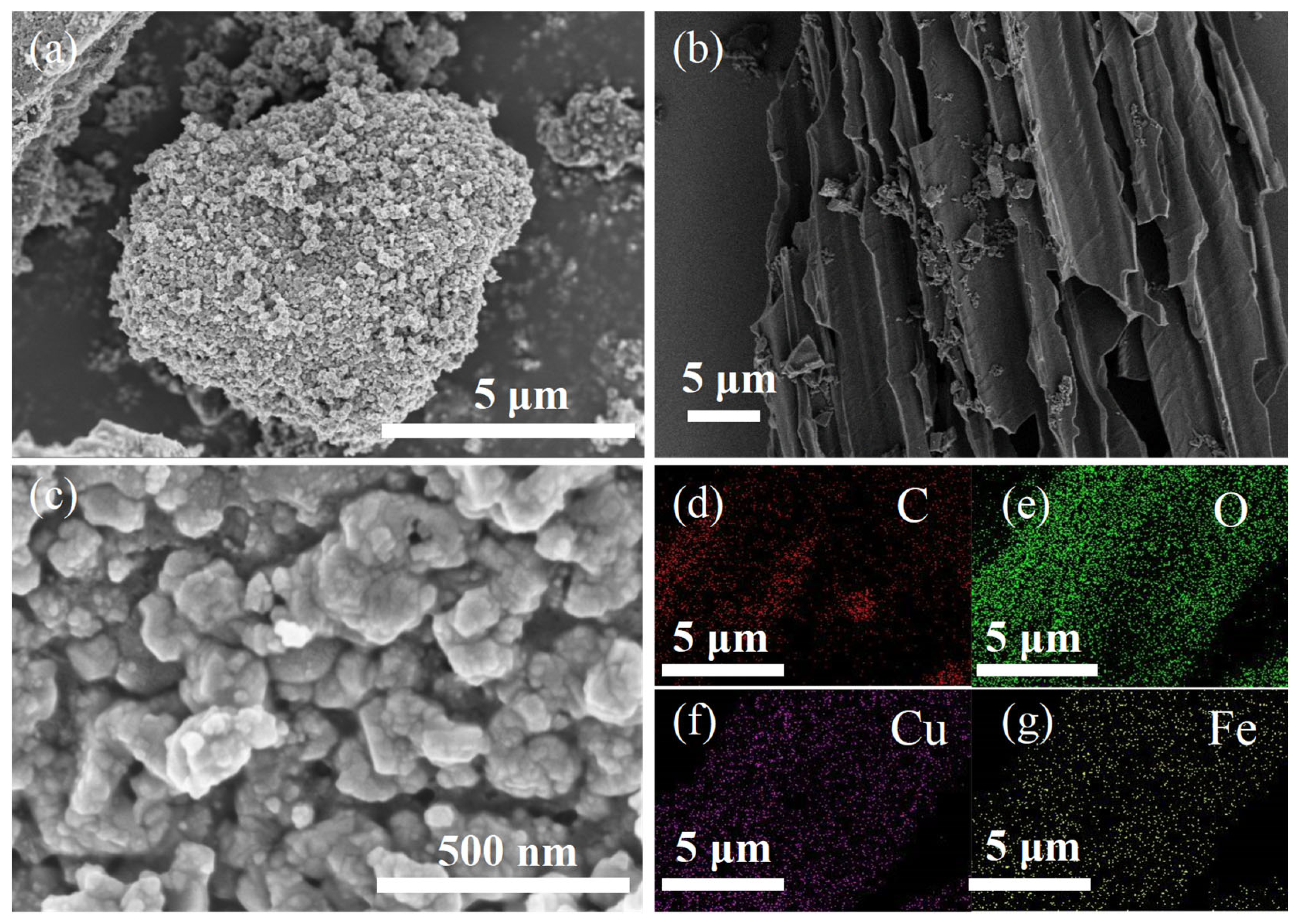 Ijms 24 05702 g001 Ijms 24 05702 g001