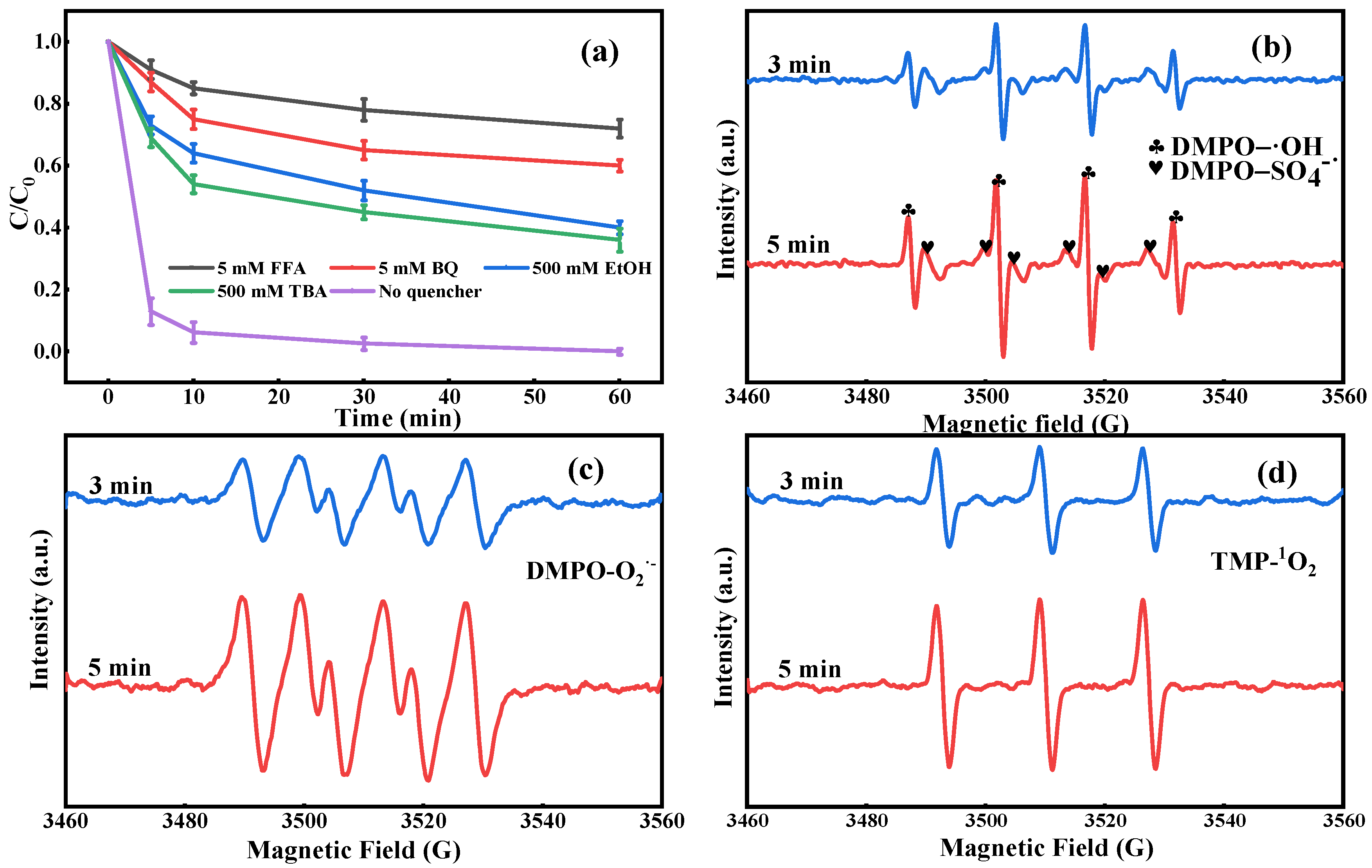 Ijms 24 05702 g007 Ijms 24 05702 g007
