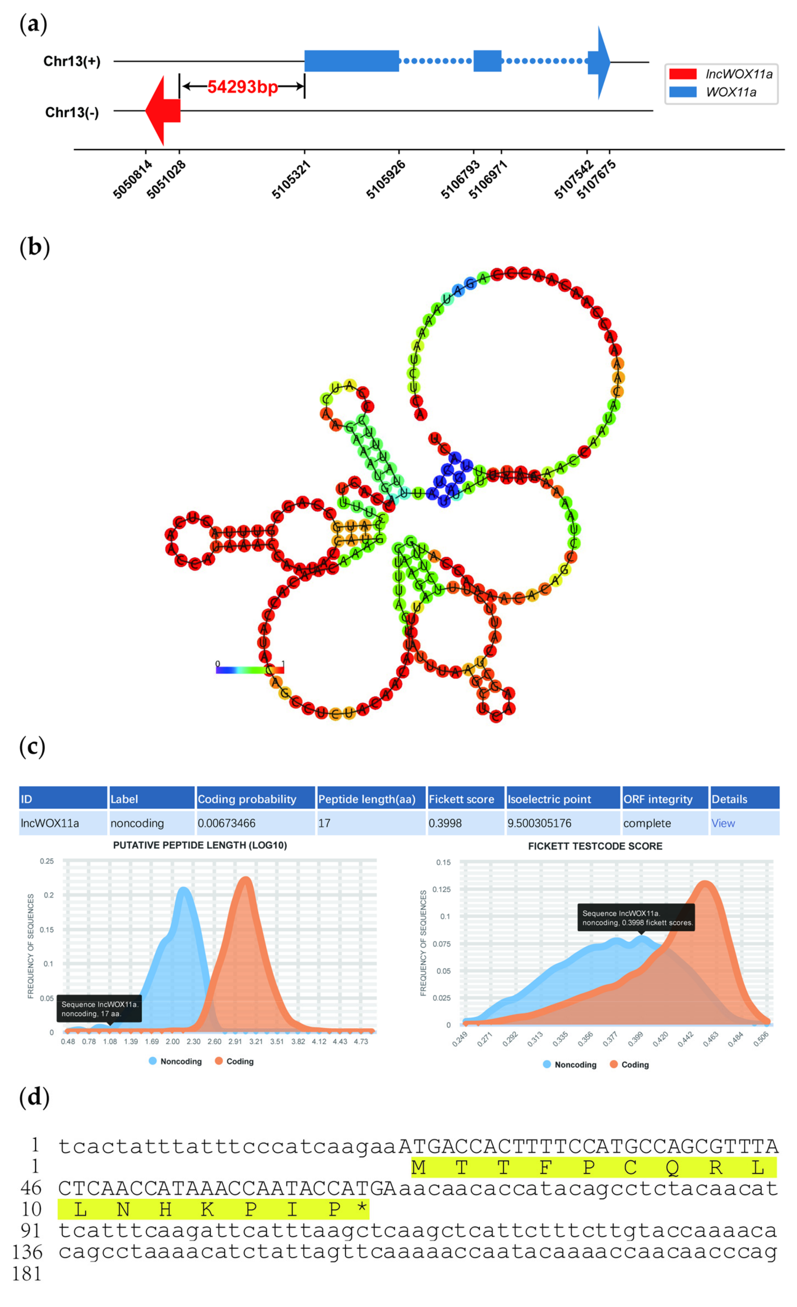 Ijms 24 05766 g001 Ijms 24 05766 g001