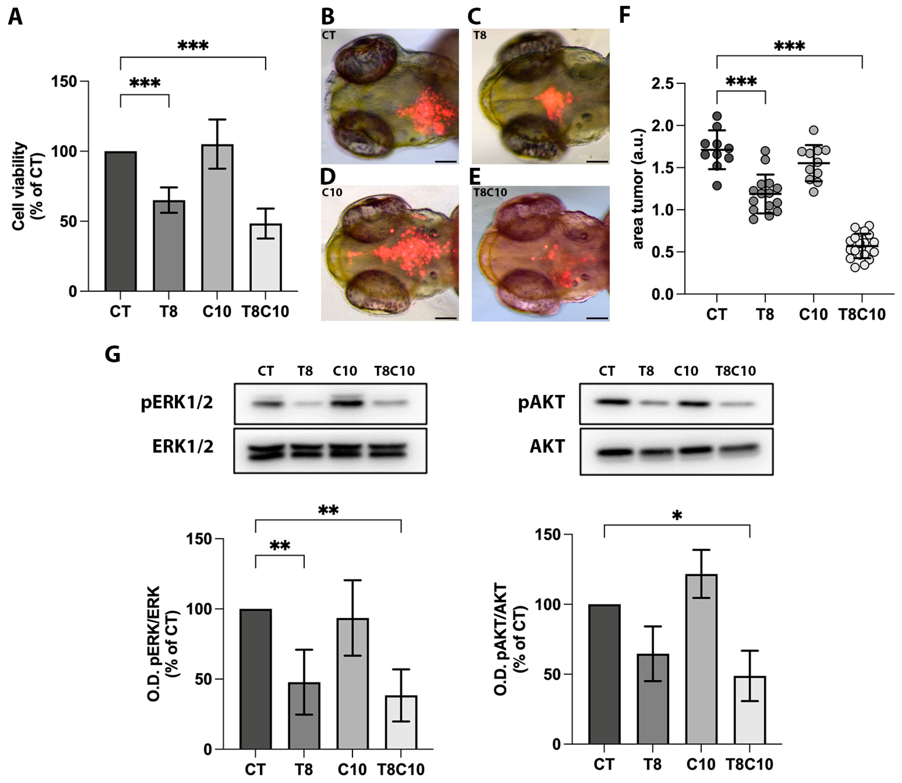 IJMS Free Full Text Combined Inhibition of Hedgehog and HDAC6