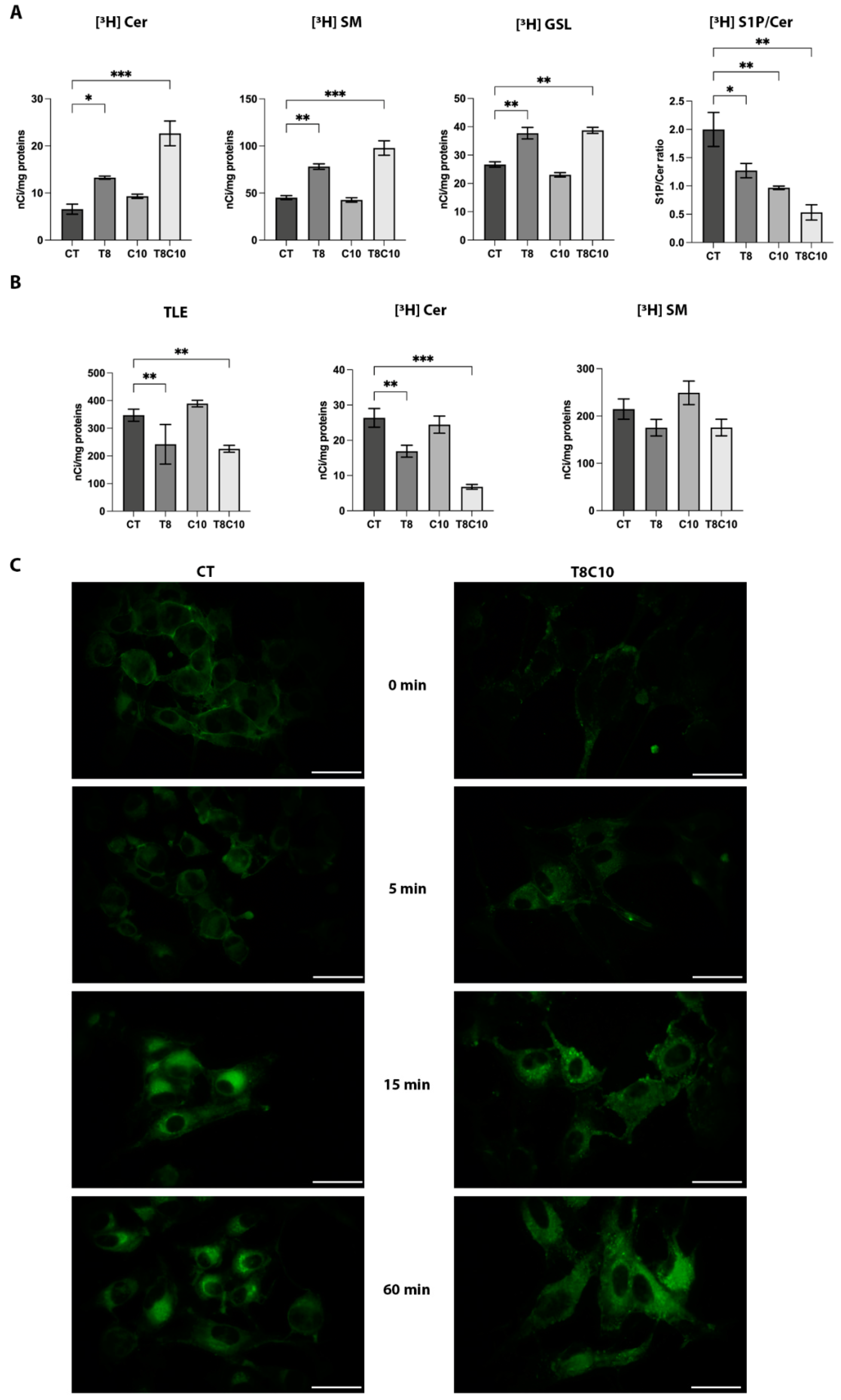 Ijms 24 05771 g004 Ijms 24 05771 g004