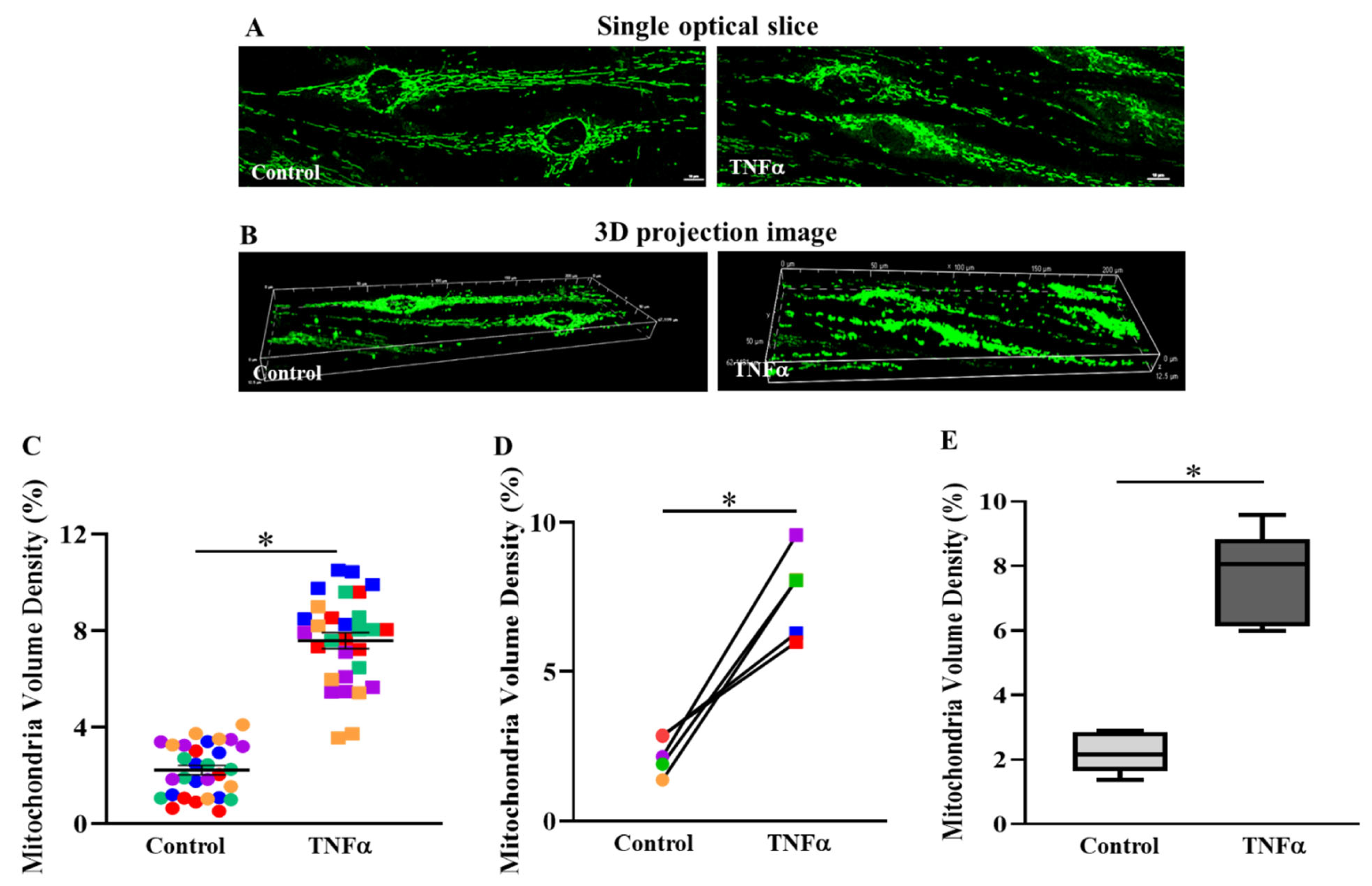 Ijms 24 05788 g003 Ijms 24 05788 g003