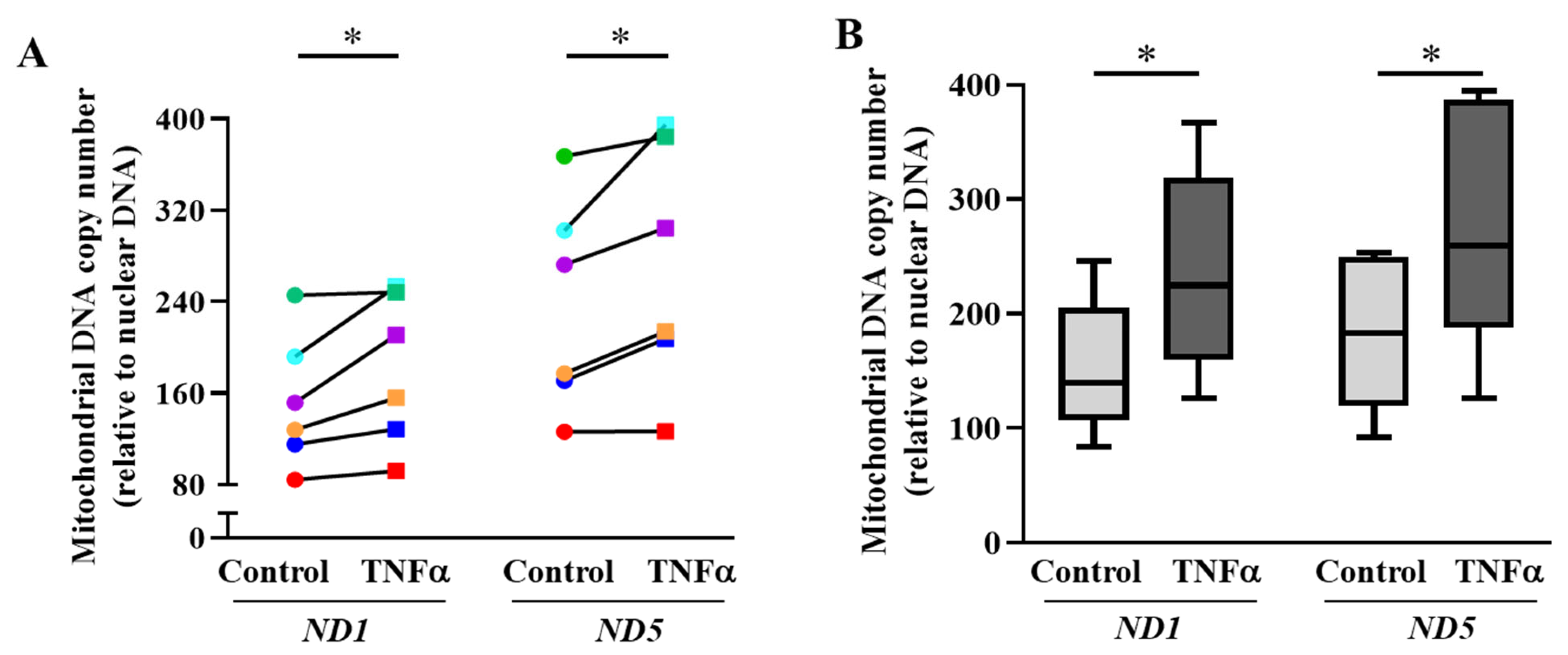 Ijms 24 05788 g004 Ijms 24 05788 g004