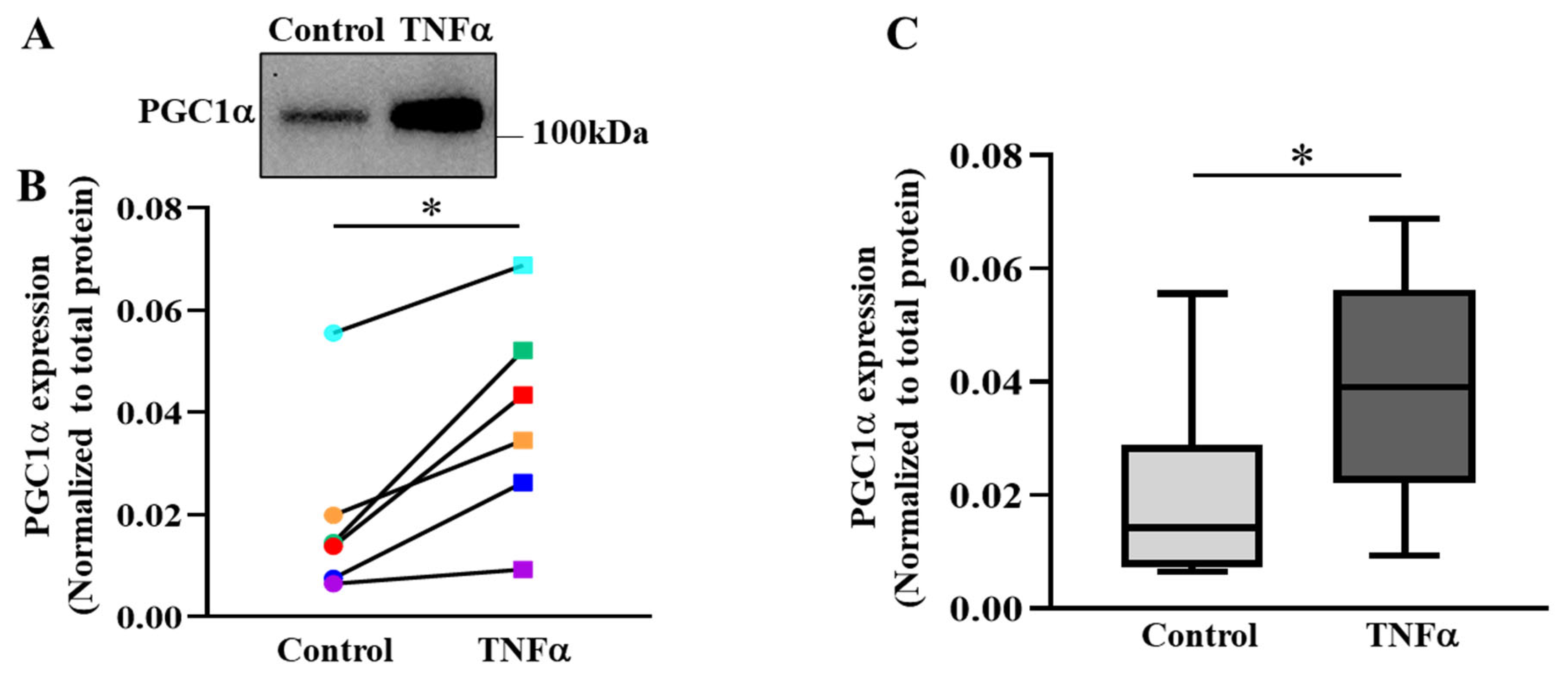 Ijms 24 05788 g007 Ijms 24 05788 g007