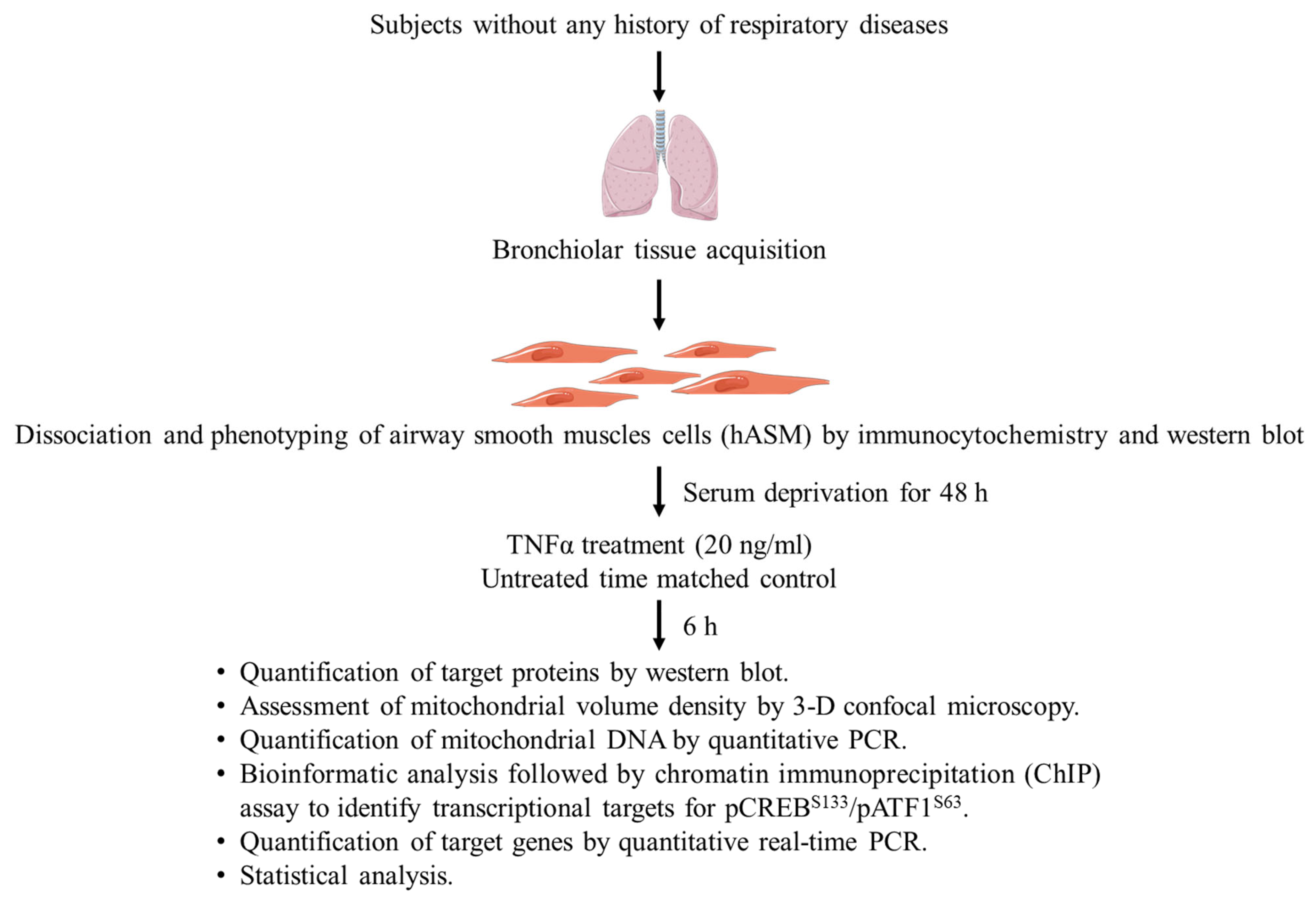 Ijms 24 05788 g009 Ijms 24 05788 g009