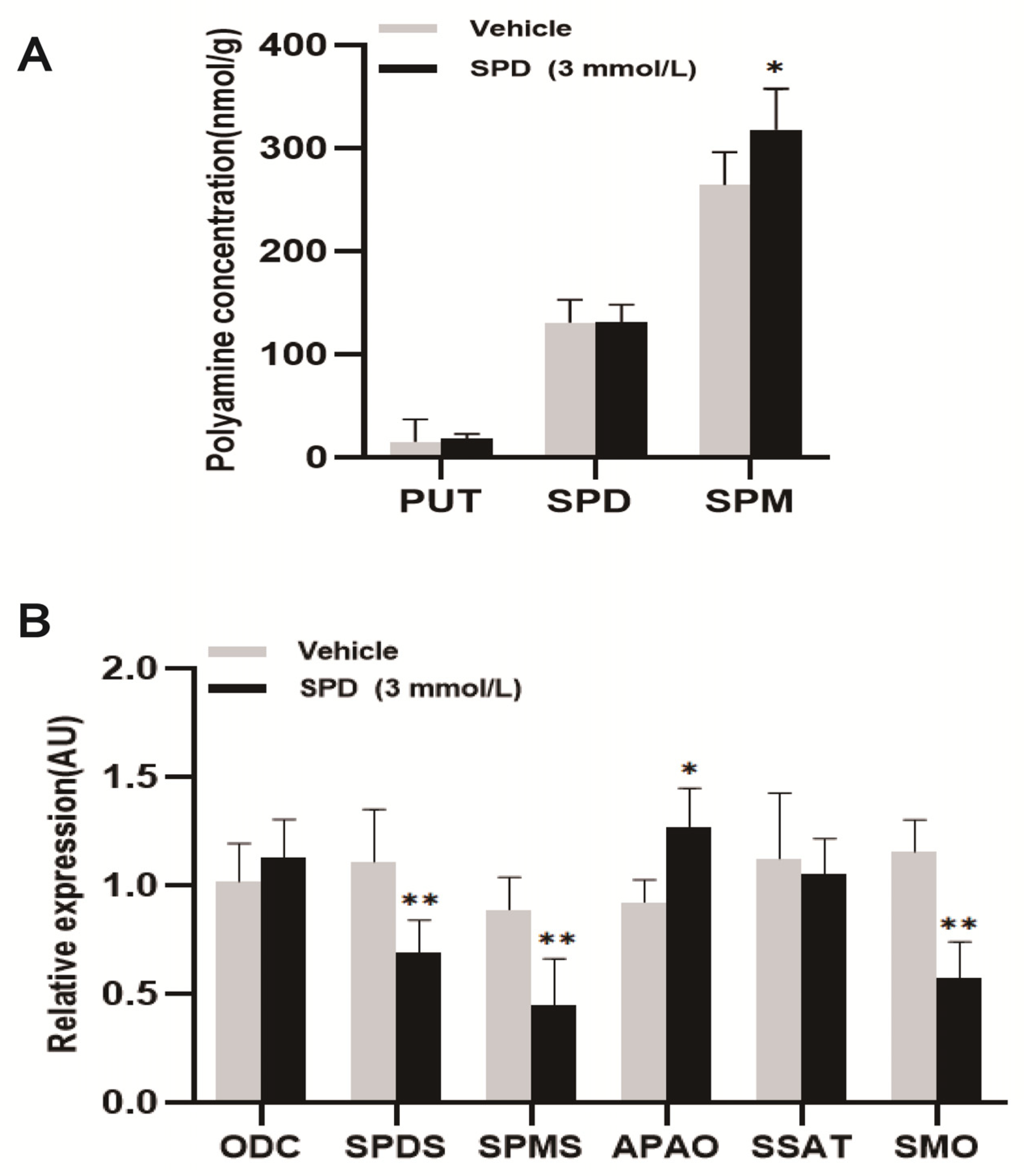 Ijms 24 05793 g003 Ijms 24 05793 g003