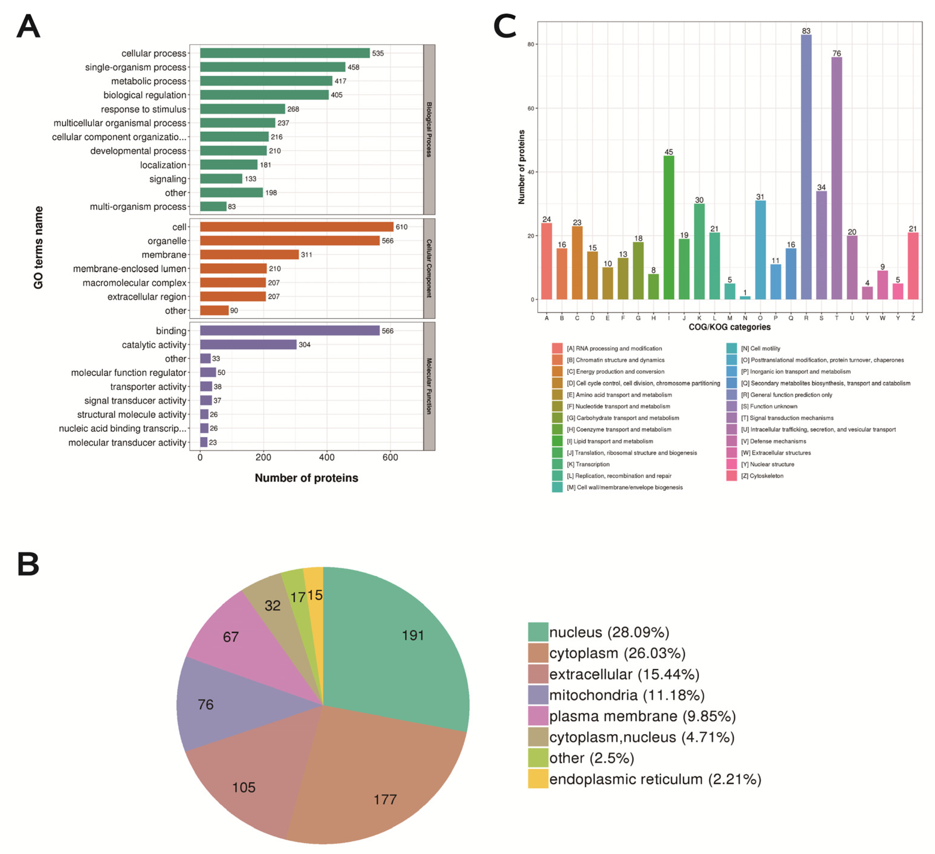 Ijms 24 05793 g008 Ijms 24 05793 g008