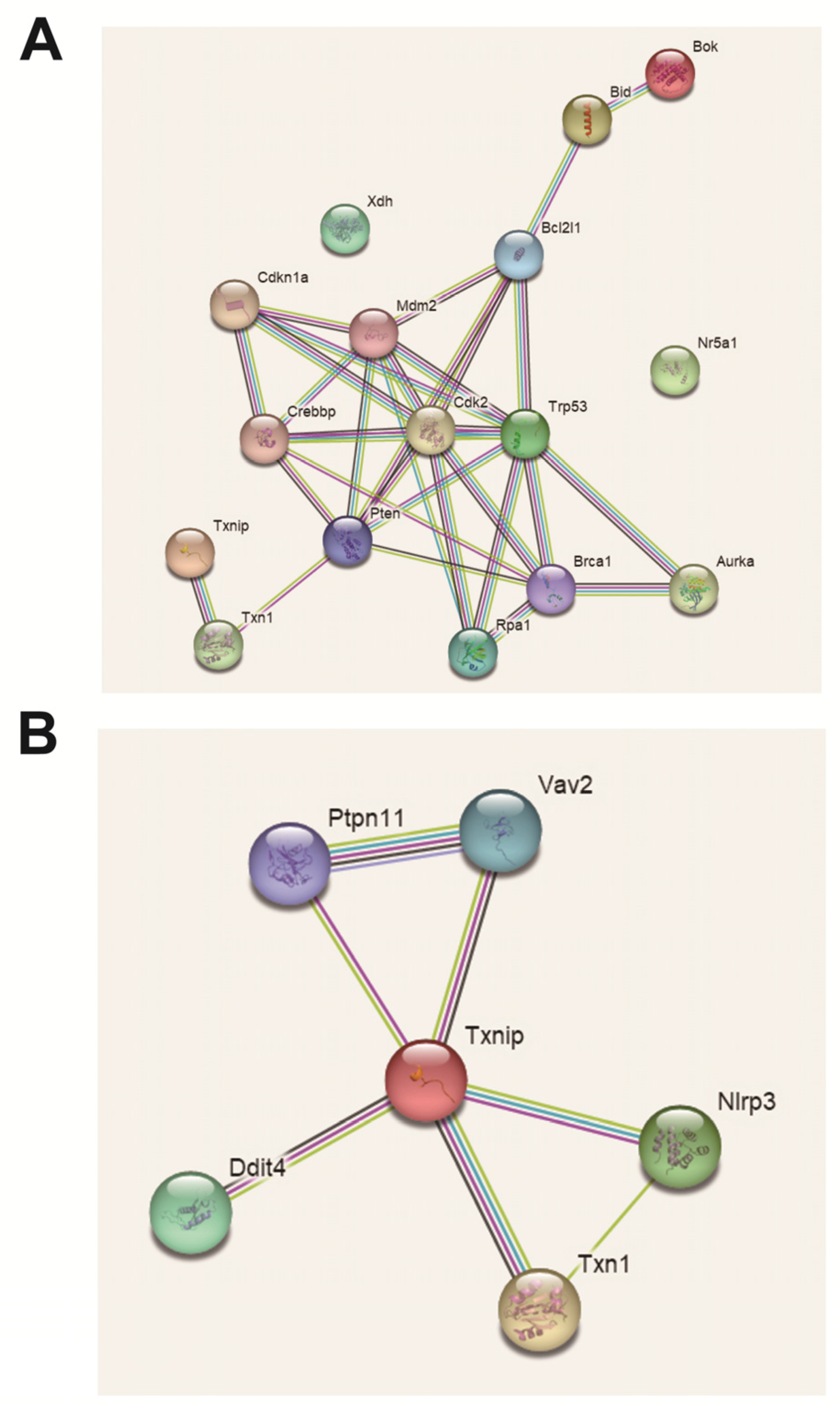 Ijms 24 05793 g011 Ijms 24 05793 g011