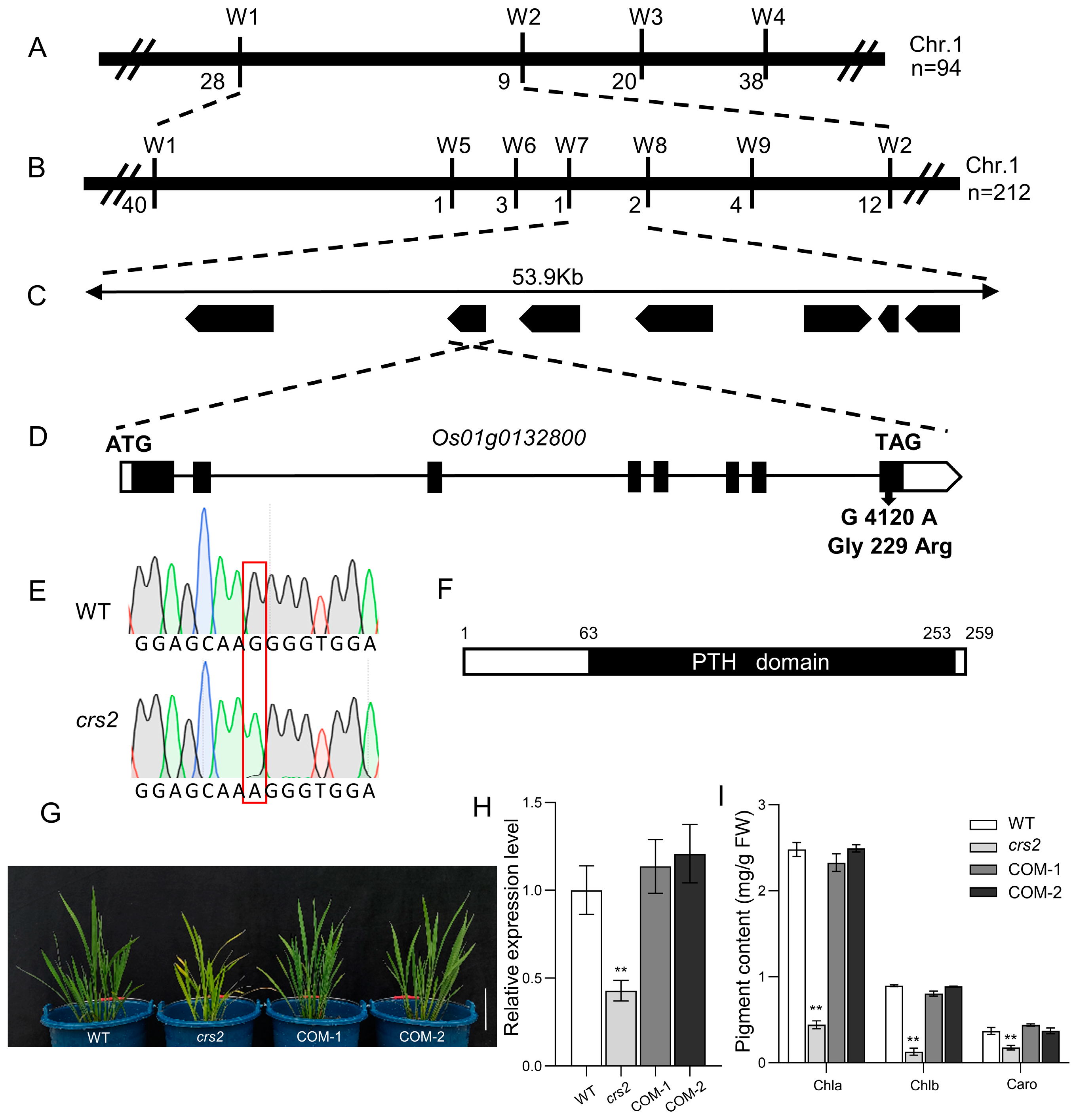 Ijms 24 05796 g003 Ijms 24 05796 g003