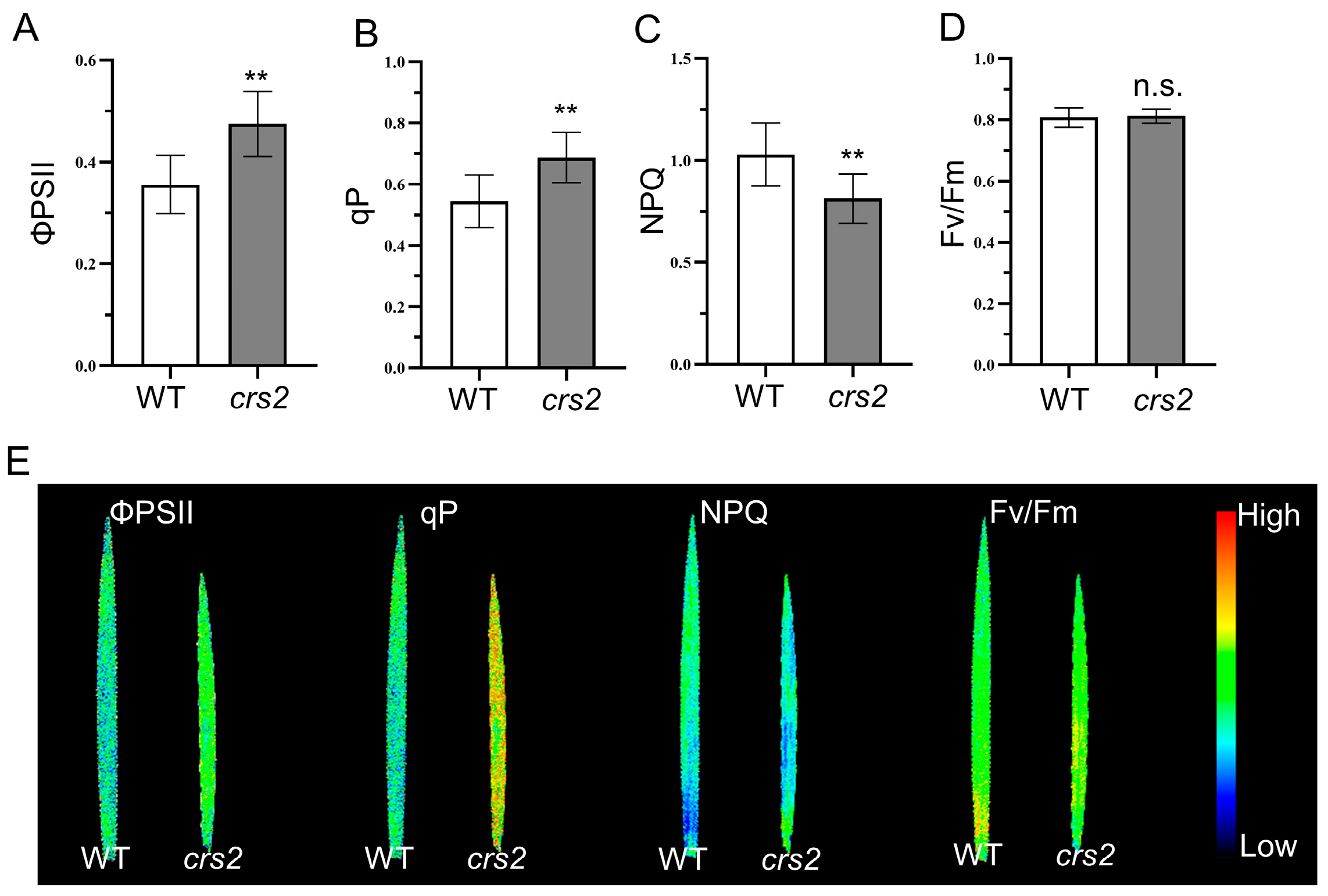 Ijms 24 05796 g006 Ijms 24 05796 g006