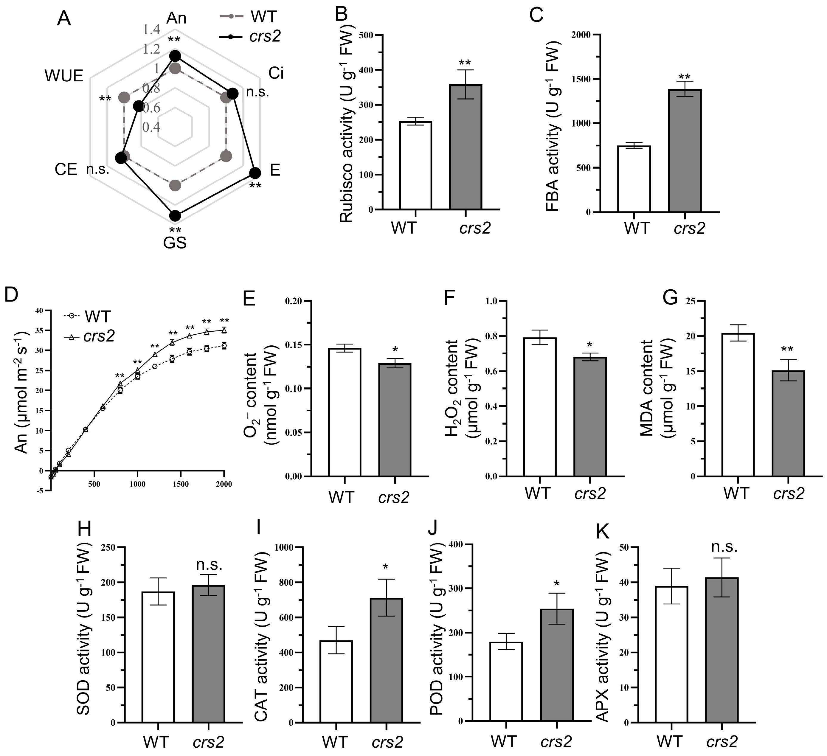 Ijms 24 05796 g007 Ijms 24 05796 g007
