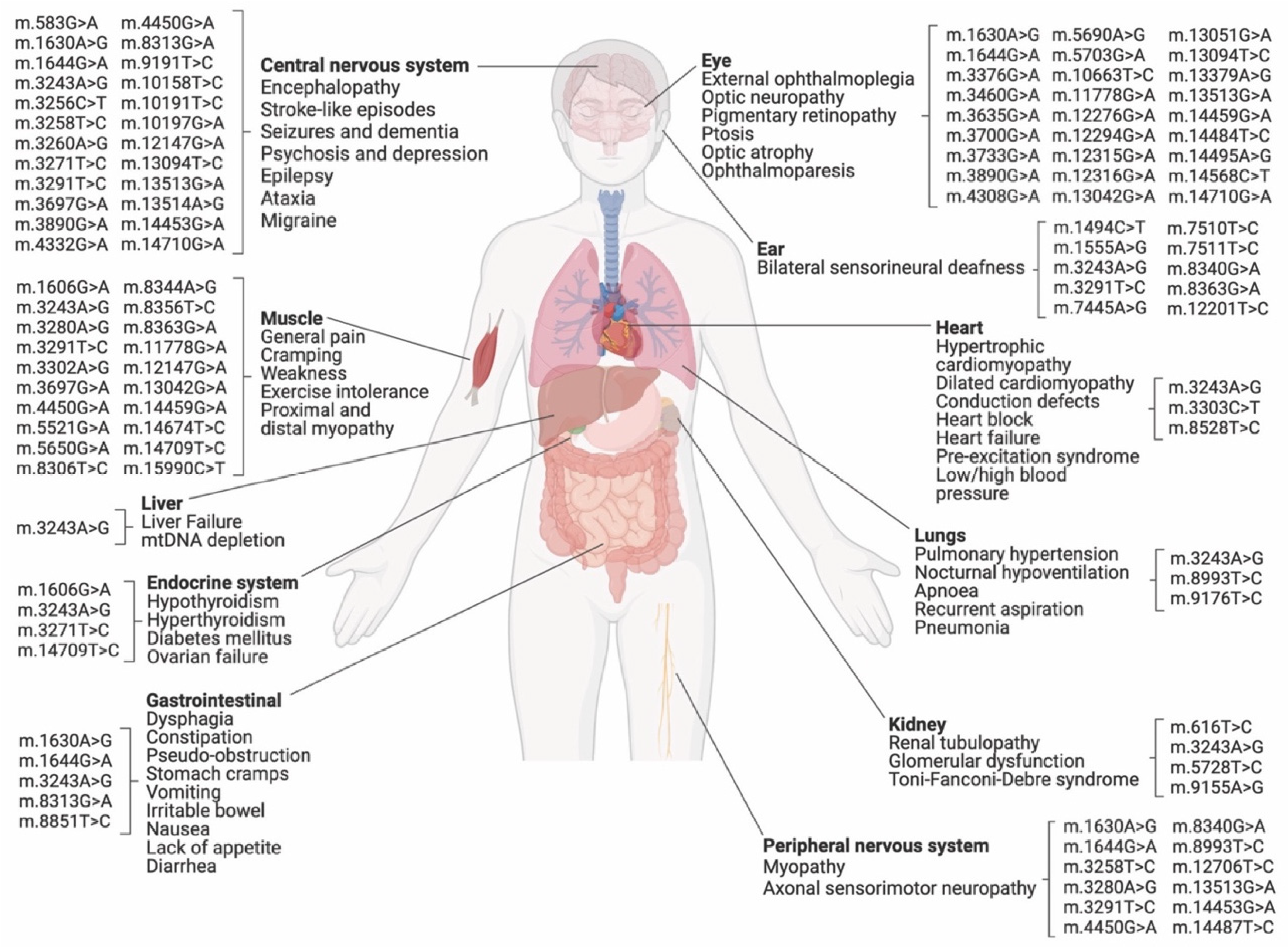 Ijms 24 05798 g002 Ijms 24 05798 g002