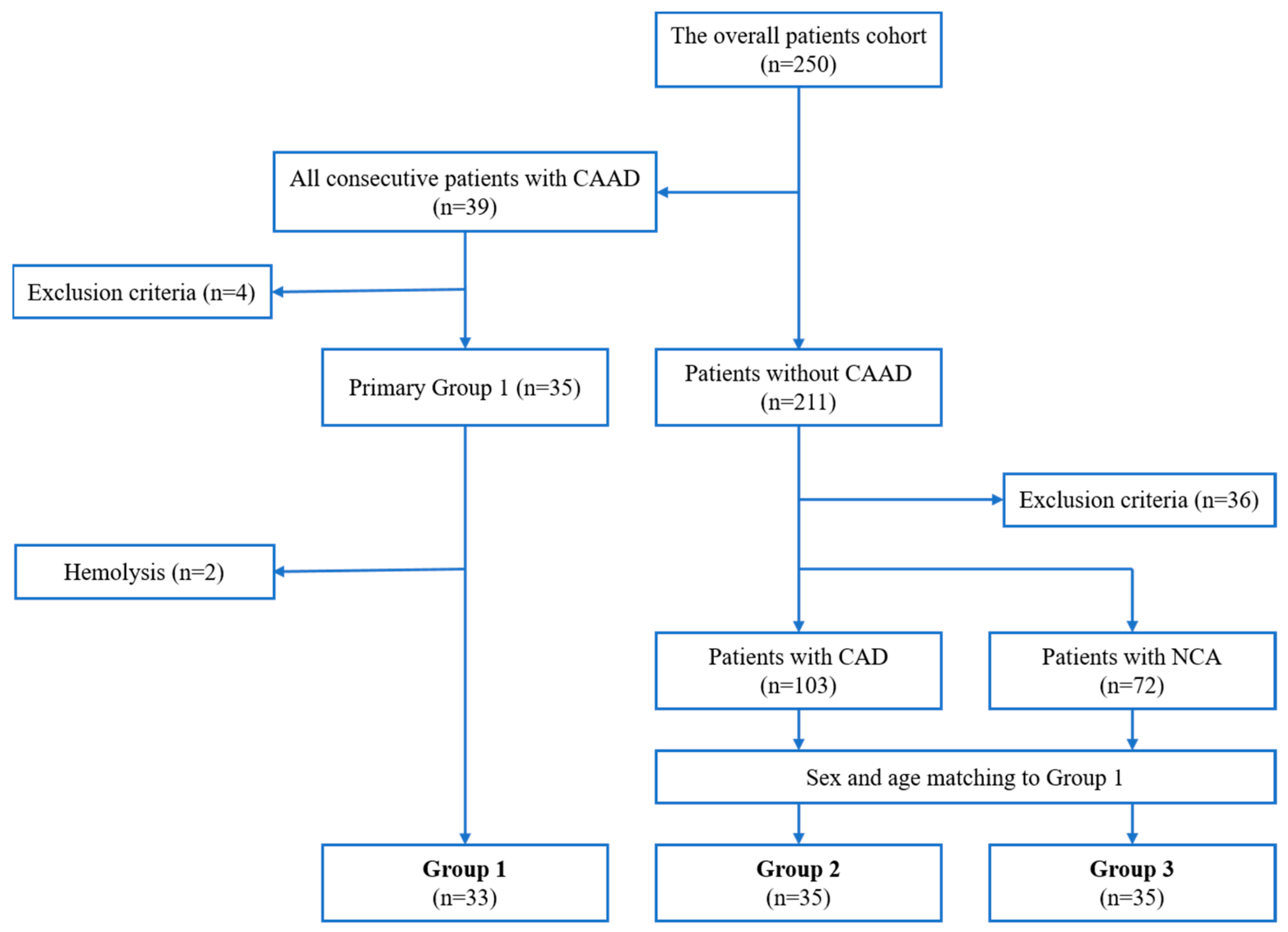 Ijms 24 05817 g003 Ijms 24 05817 g003