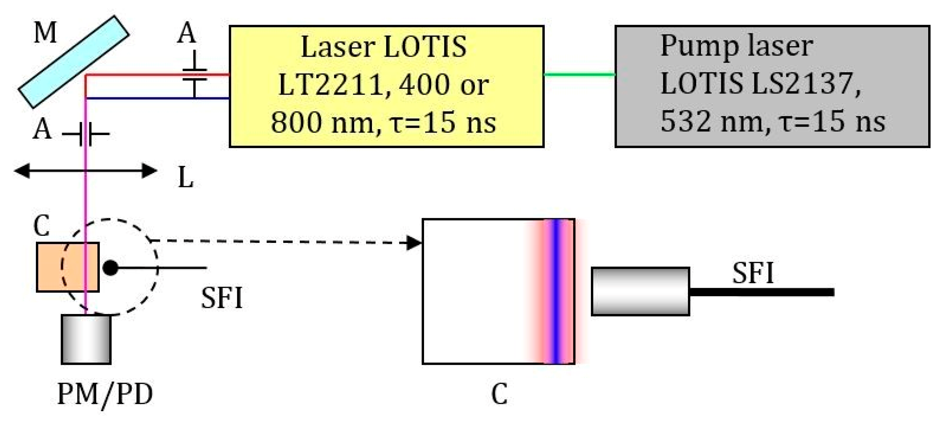 Ijms 24 05818 g011 Ijms 24 05818 g011