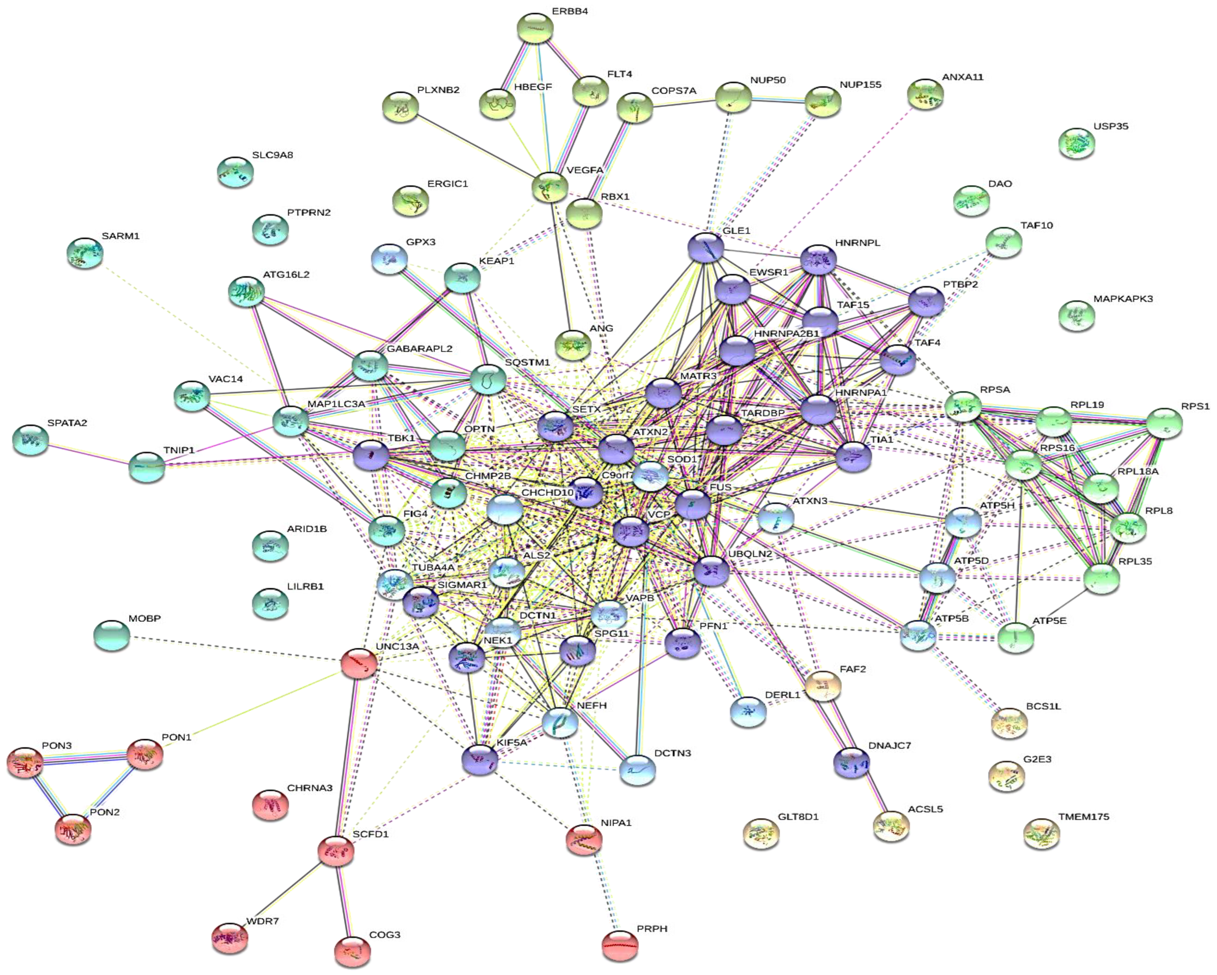 Ijms 24 05828 g002 Ijms 24 05828 g002