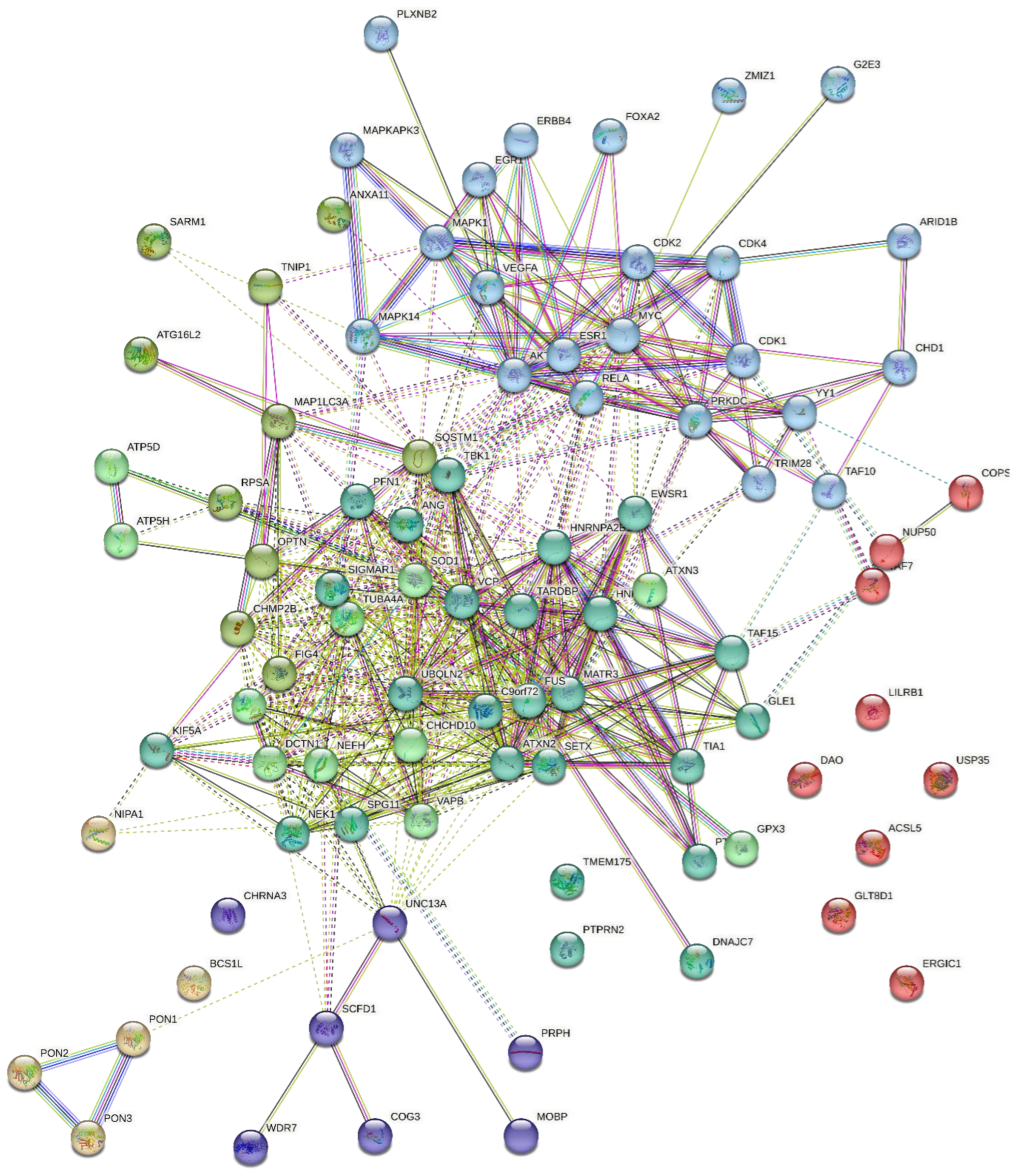 Ijms 24 05828 g004 Ijms 24 05828 g004