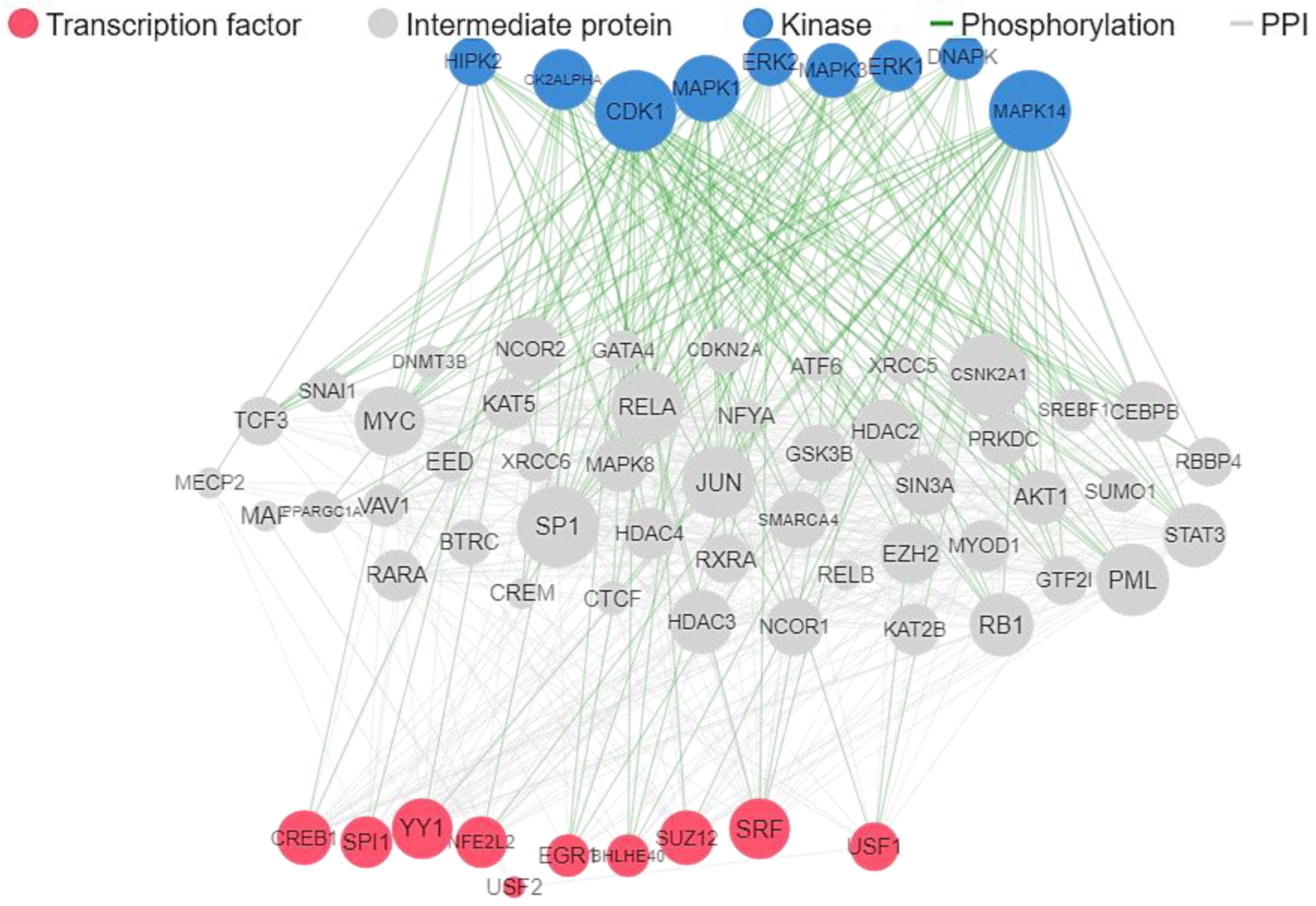 Ijms 24 05828 g005 Ijms 24 05828 g005