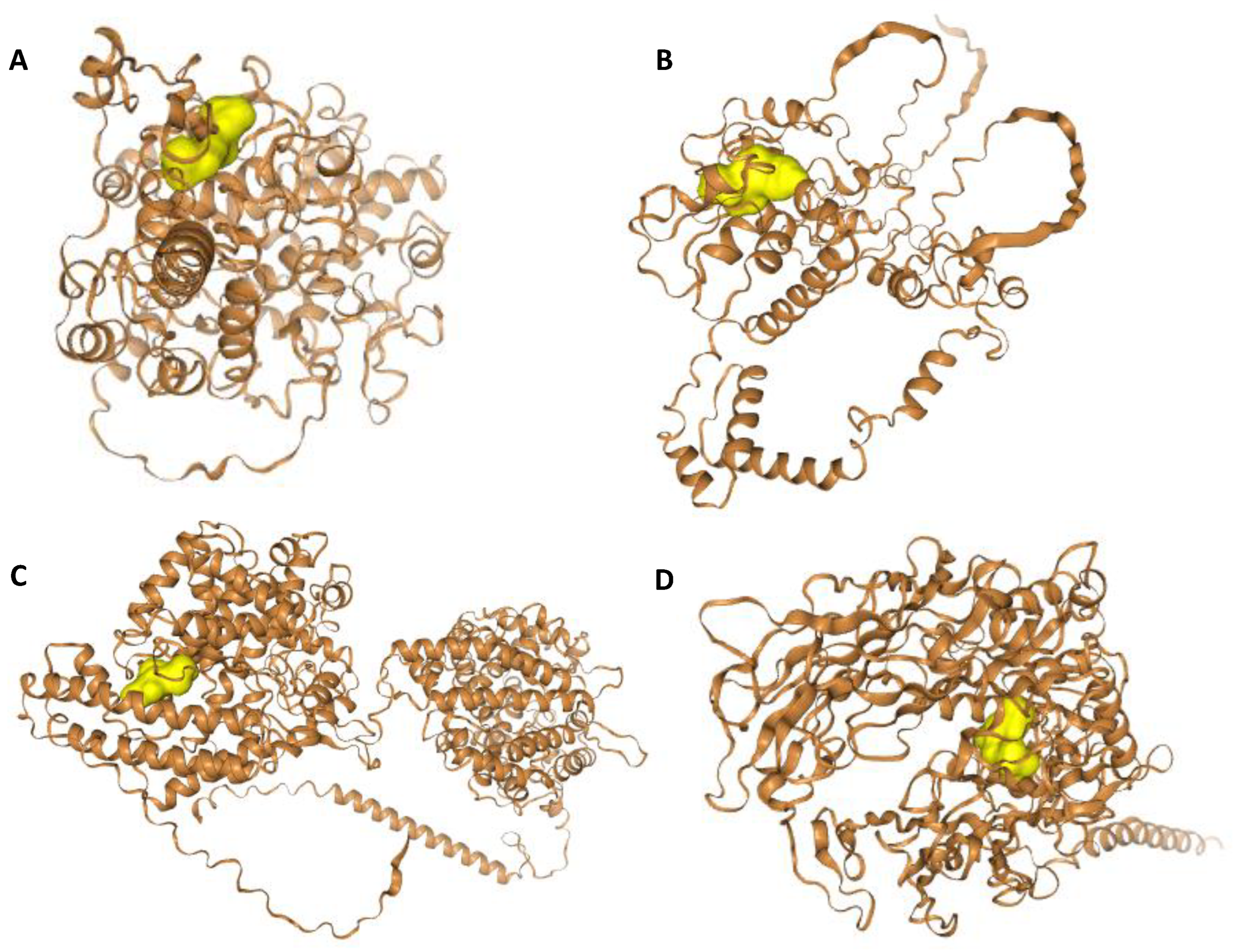 Ijms 24 05828 g006 Ijms 24 05828 g006