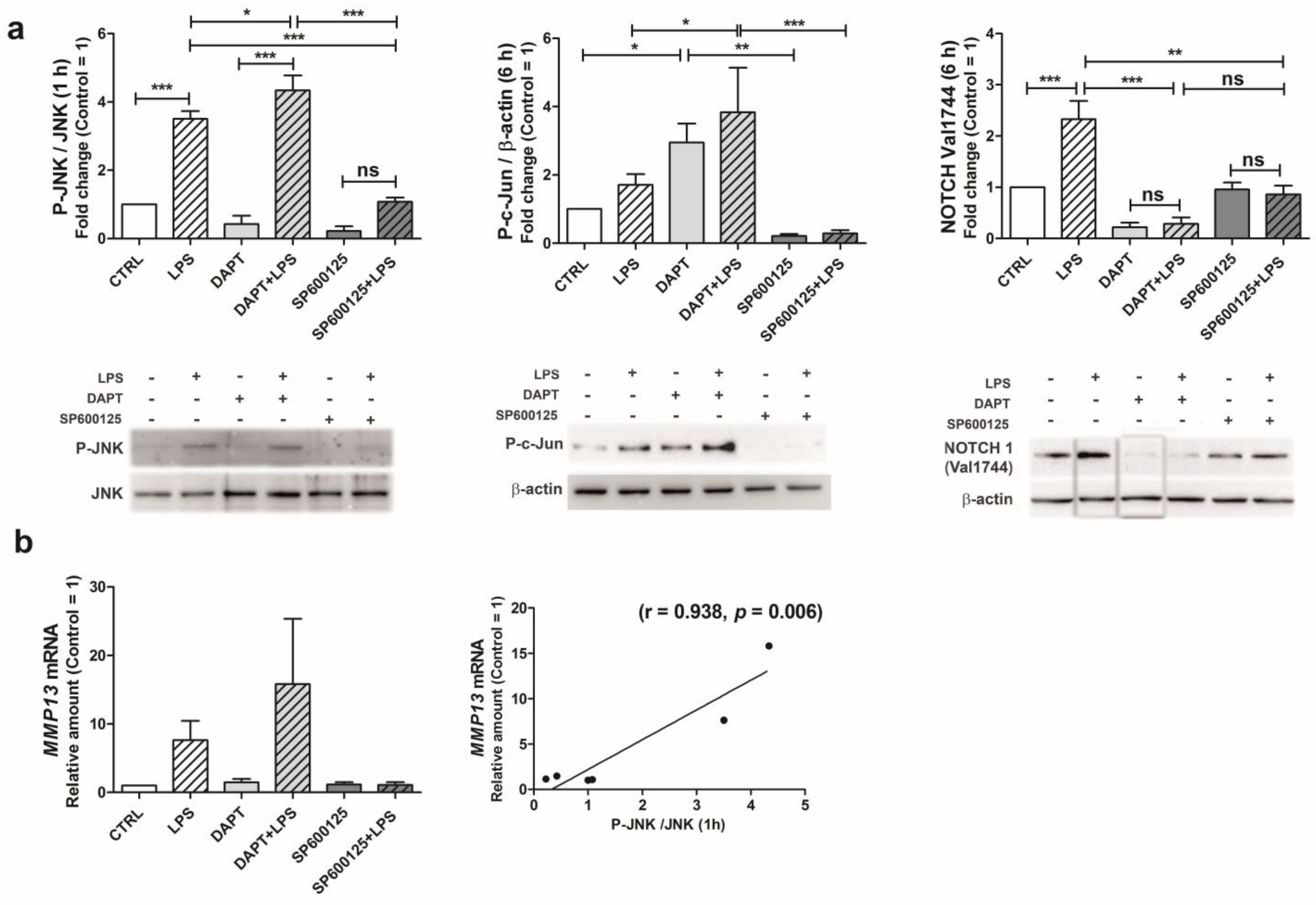 Ijms 24 05830 g006 Ijms 24 05830 g006