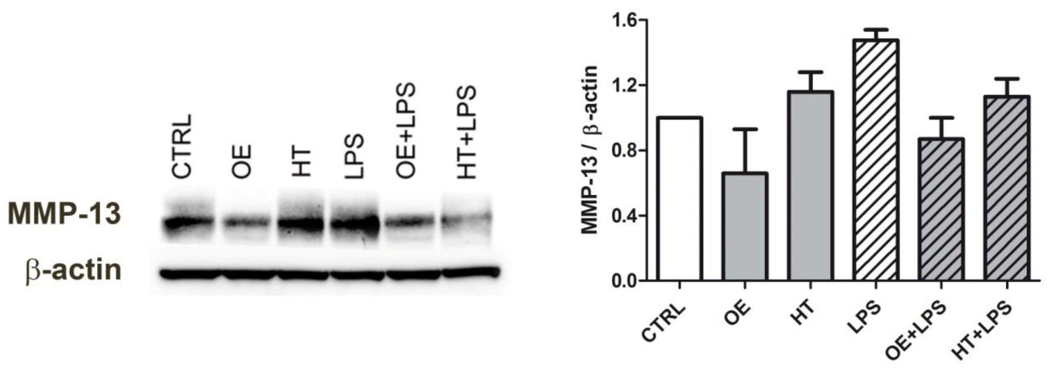 Ijms 24 05830 g007 Ijms 24 05830 g007