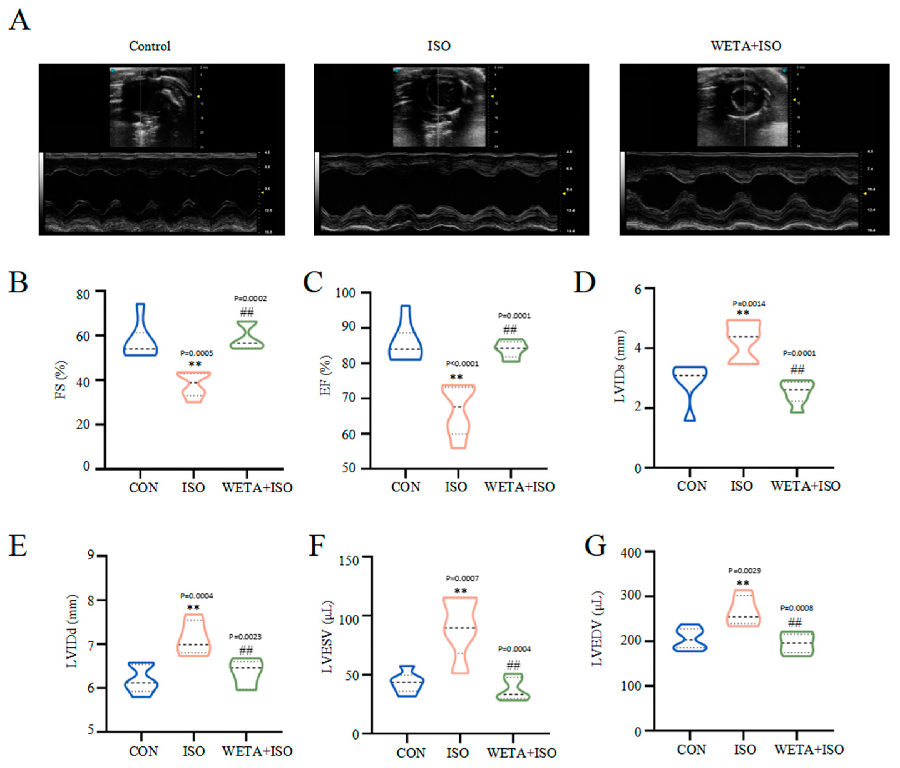 Ijms 24 05838 g002 Ijms 24 05838 g002