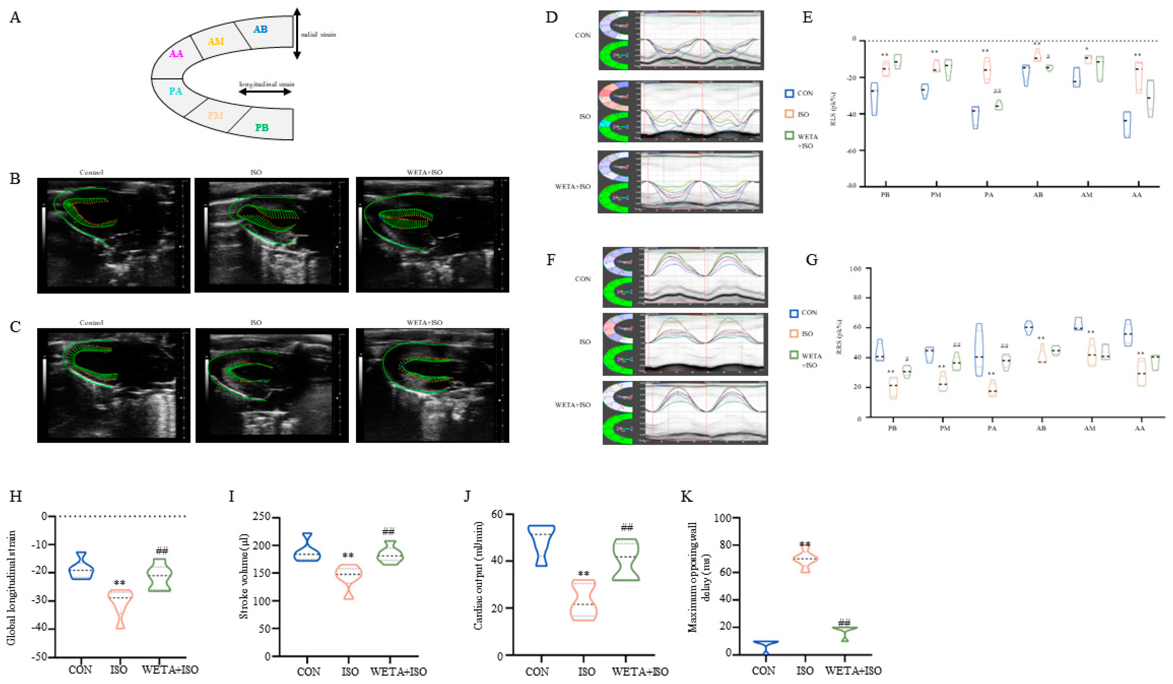 Ijms 24 05838 g003 Ijms 24 05838 g003