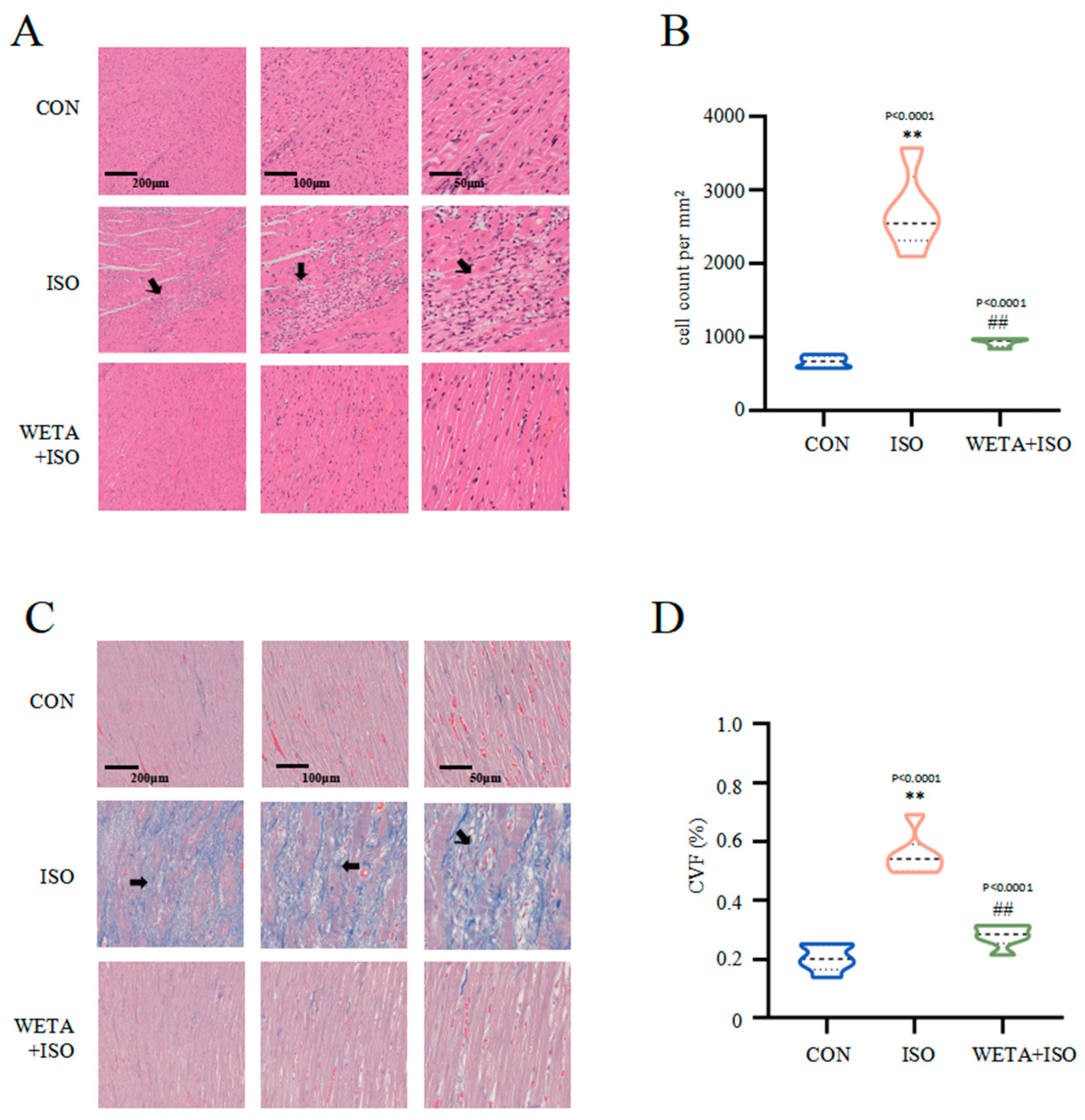 Ijms 24 05838 g005 Ijms 24 05838 g005