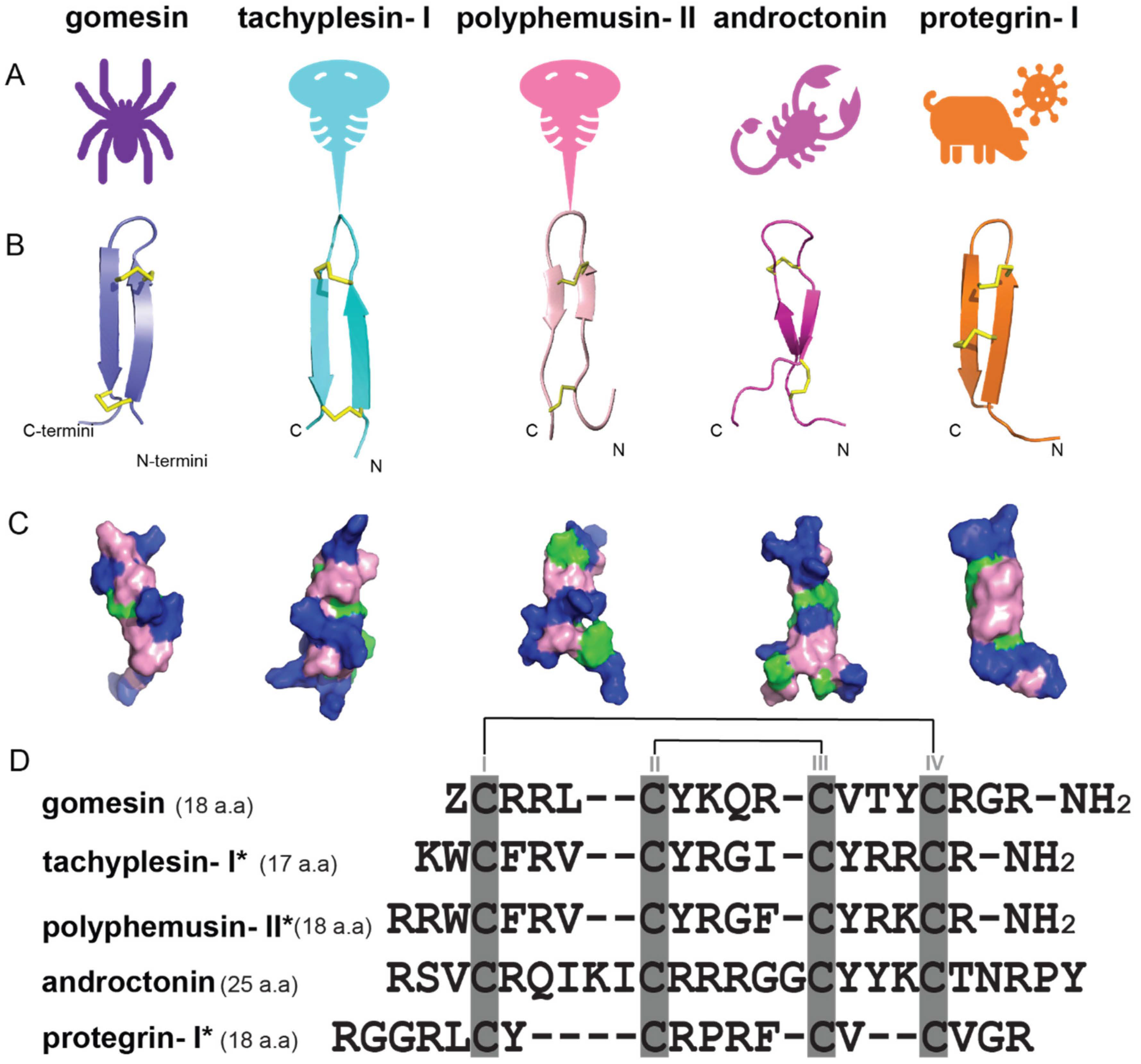 Ijms 24 05893 g004 Ijms 24 05893 g004
