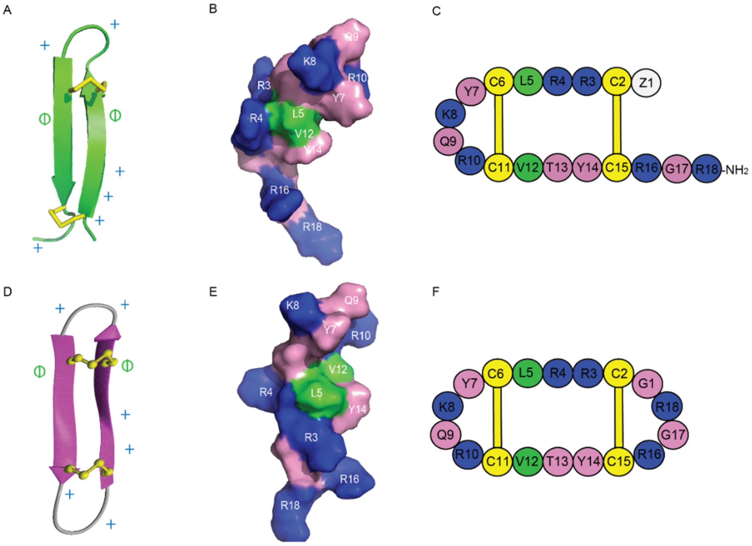 Ijms 24 05893 g006 Ijms 24 05893 g006