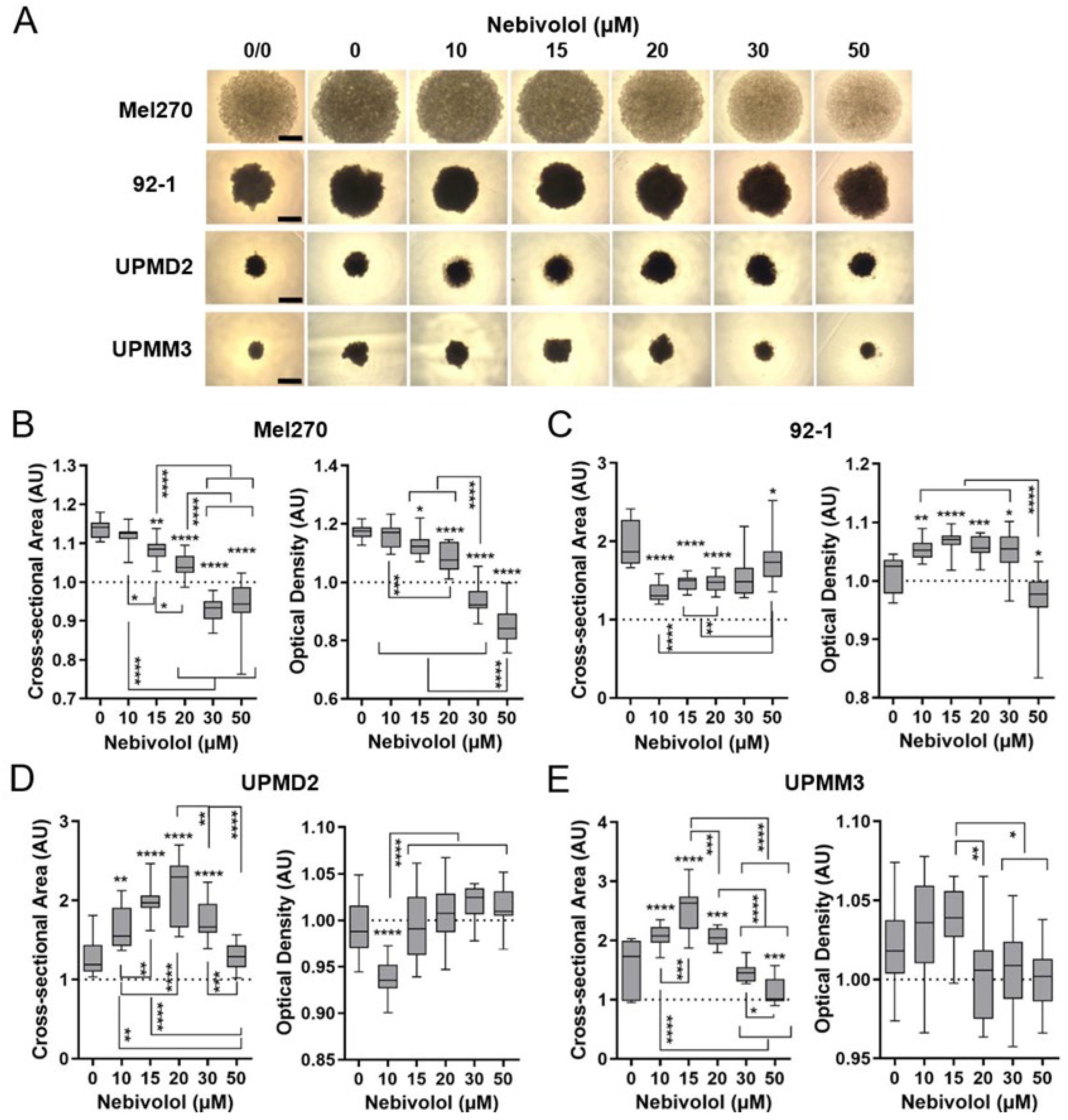 Ijms 24 05894 g003 Ijms 24 05894 g003