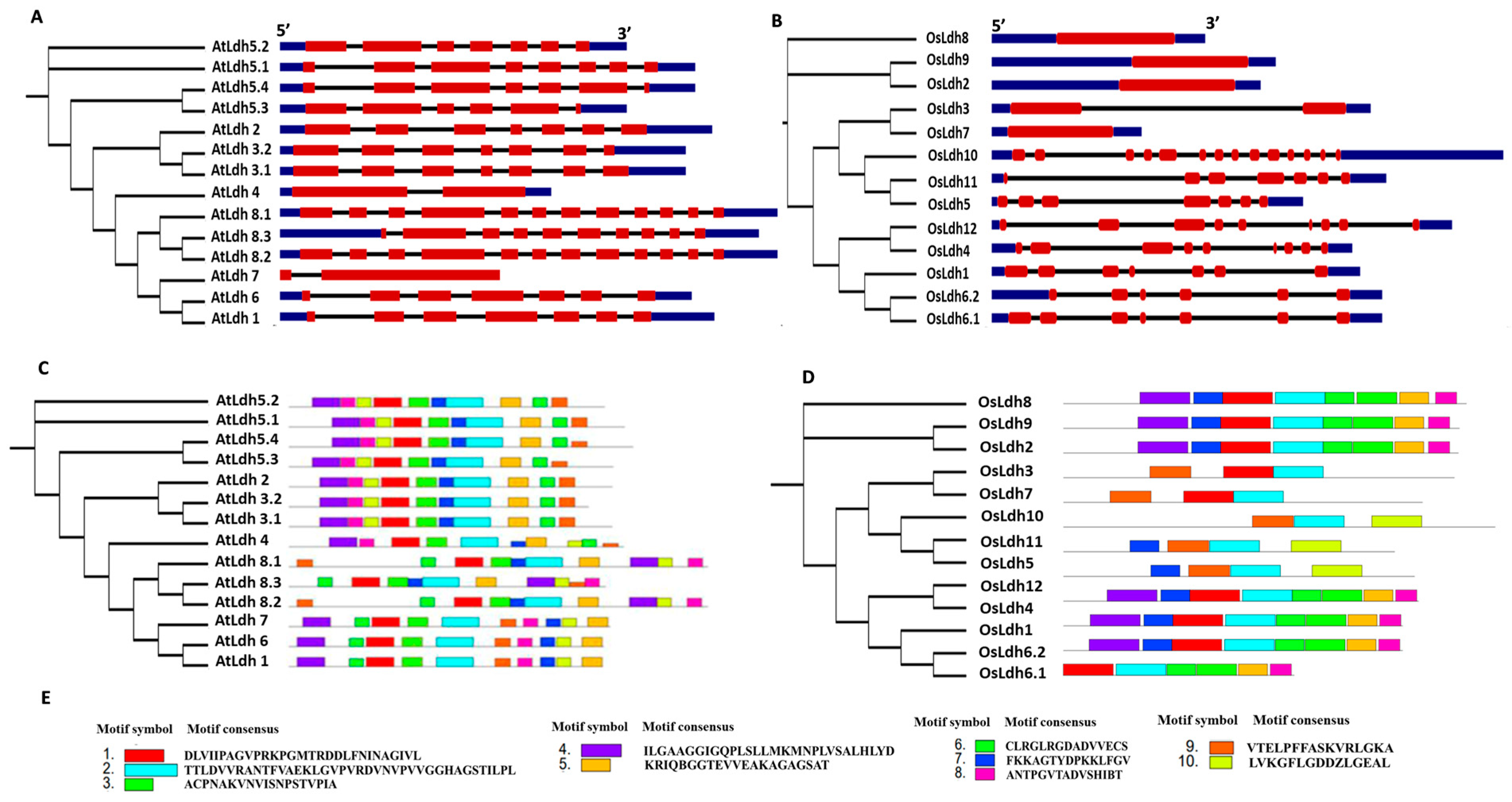 Ijms 24 05900 g003 Ijms 24 05900 g003