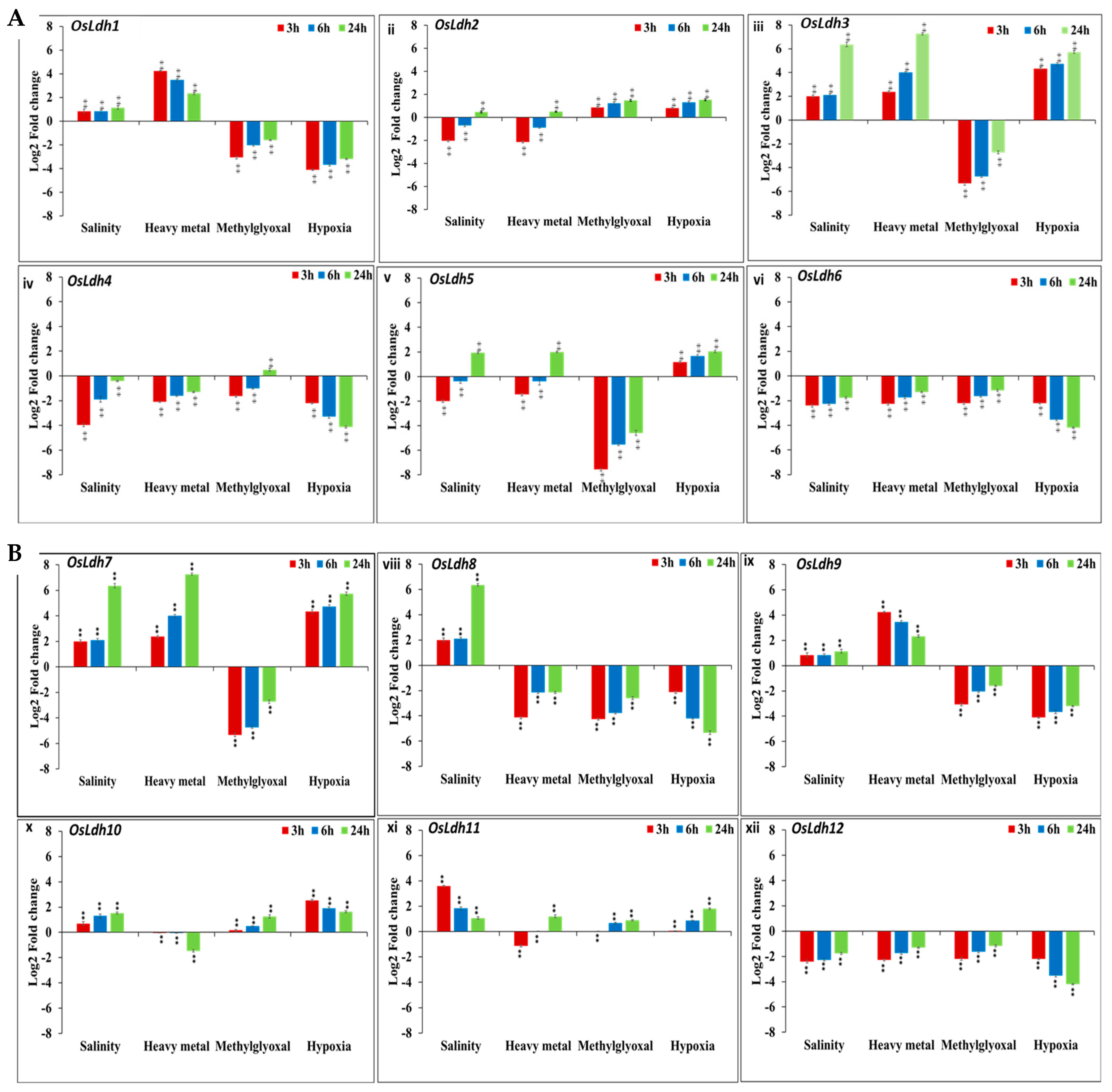 Ijms 24 05900 g006 Ijms 24 05900 g006