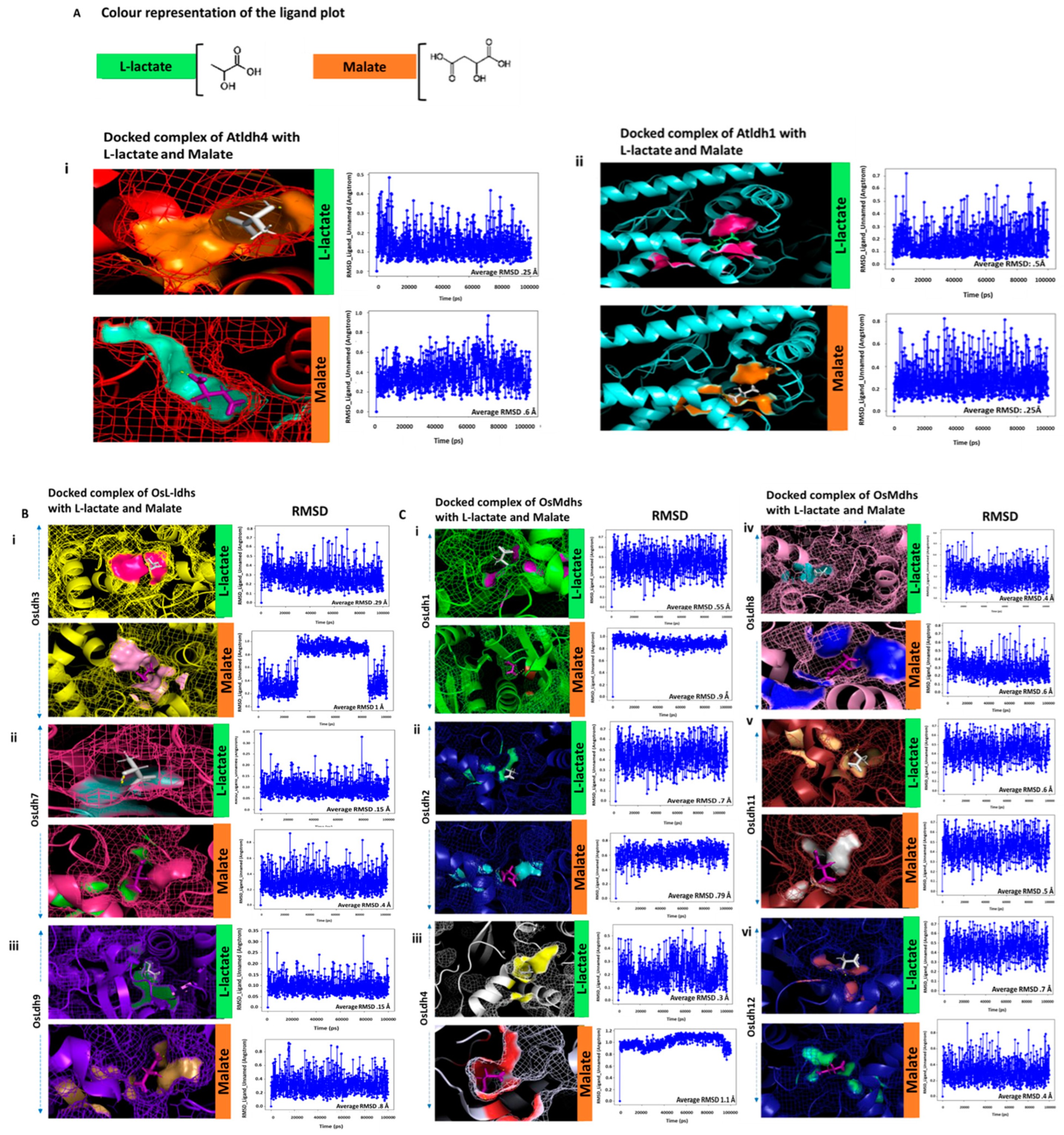Ijms 24 05900 g007a Ijms 24 05900 g007a