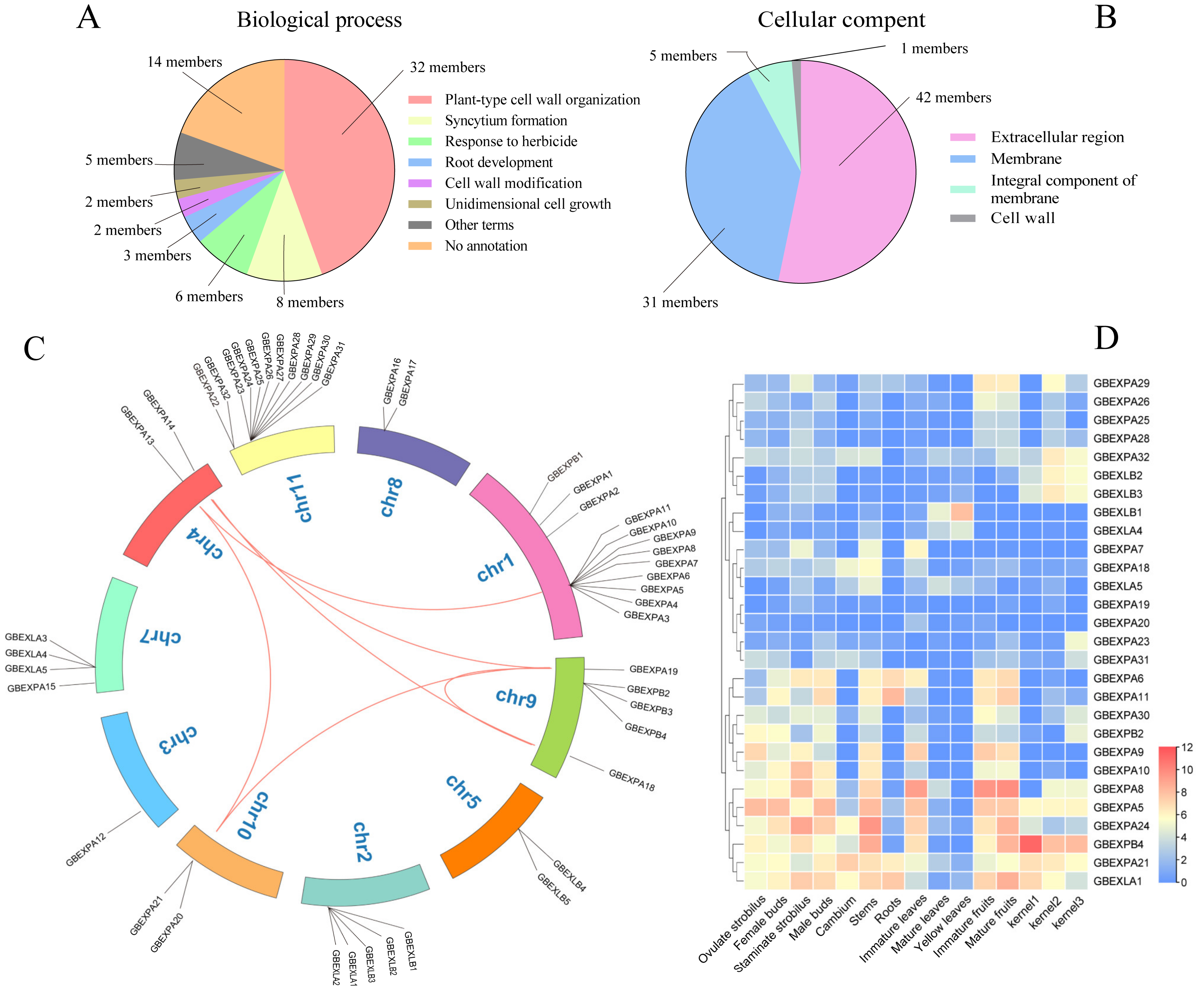 Ijms 24 05901 g005 Ijms 24 05901 g005
