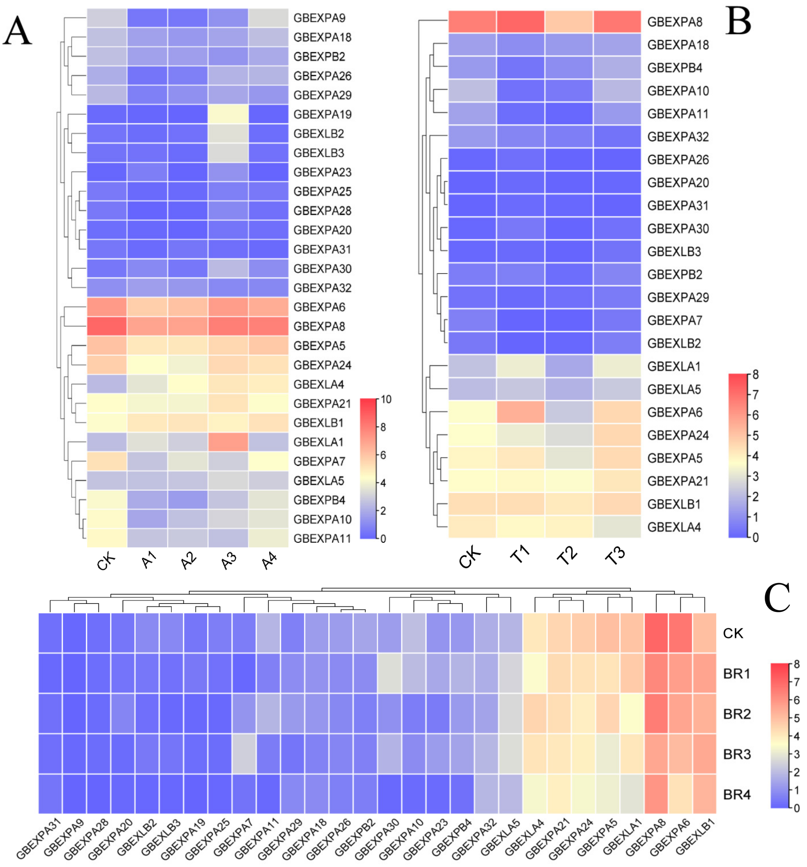 Ijms 24 05901 g007 Ijms 24 05901 g007