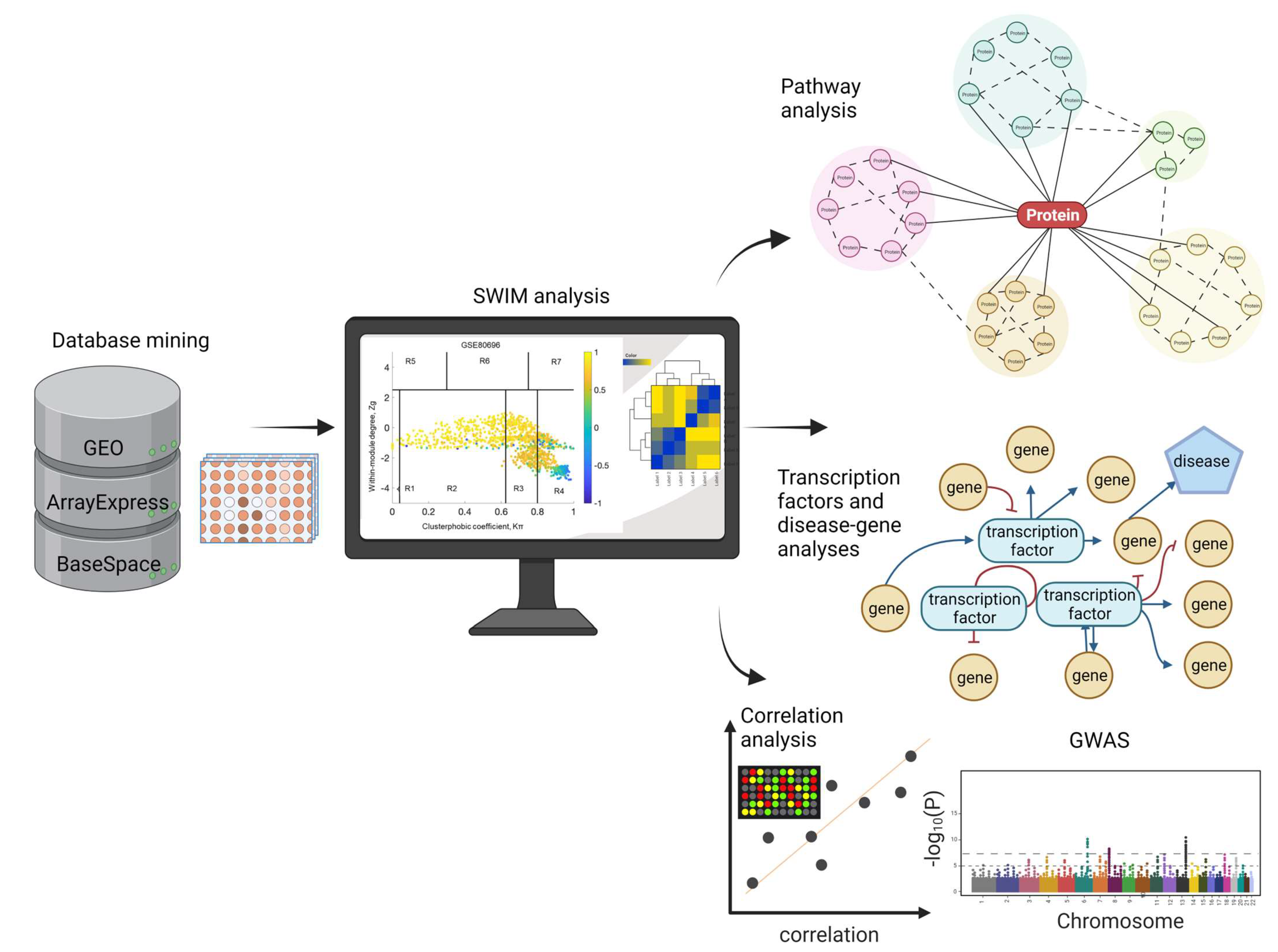 IJMS | Free Full-Text | Co-Expression Network Analysis Identifies Molecular  Determinants of Loneliness Associated with Neuropsychiatric and  Neurodegenerative Diseases