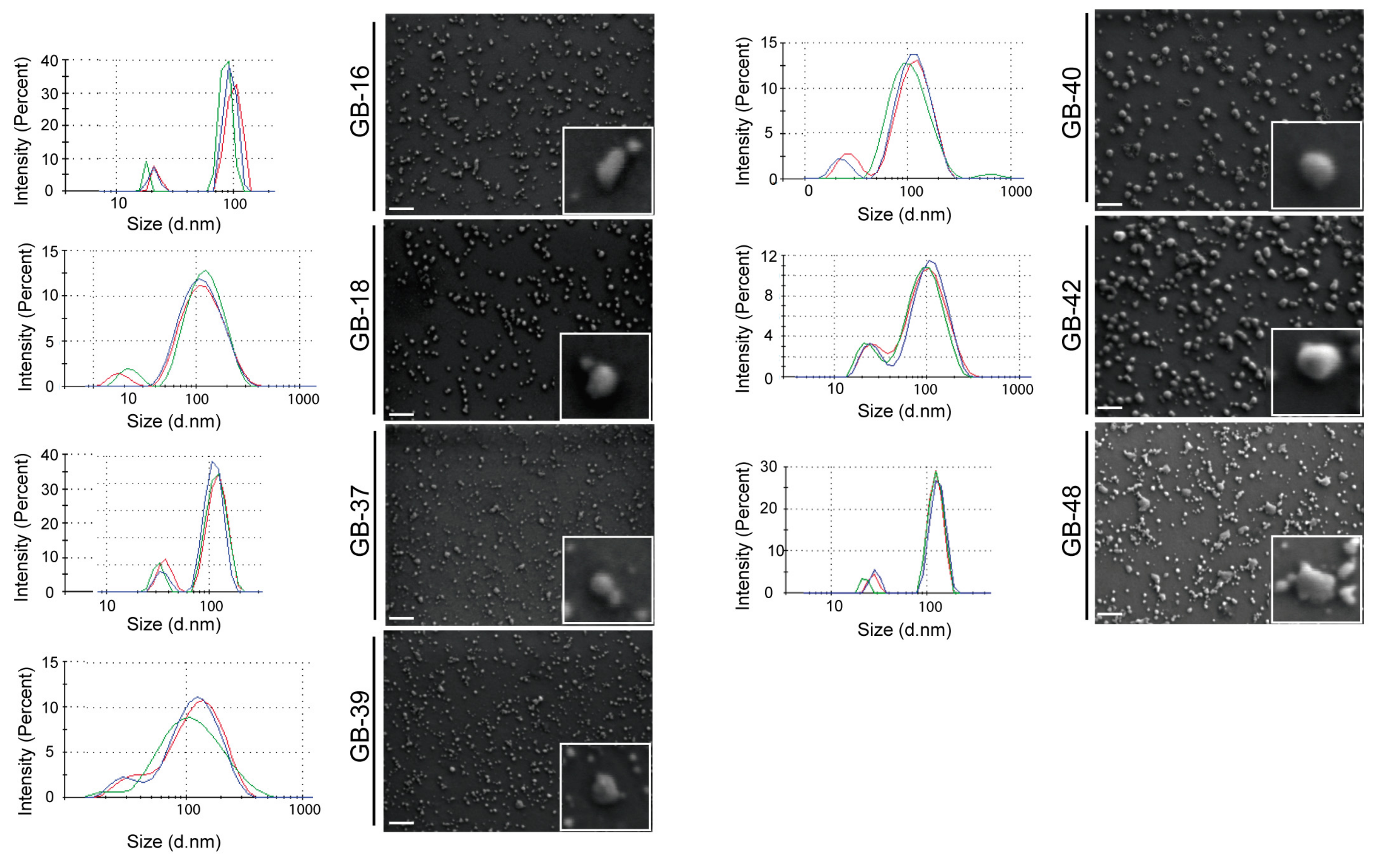 Ijms 24 05910 g003 Ijms 24 05910 g003