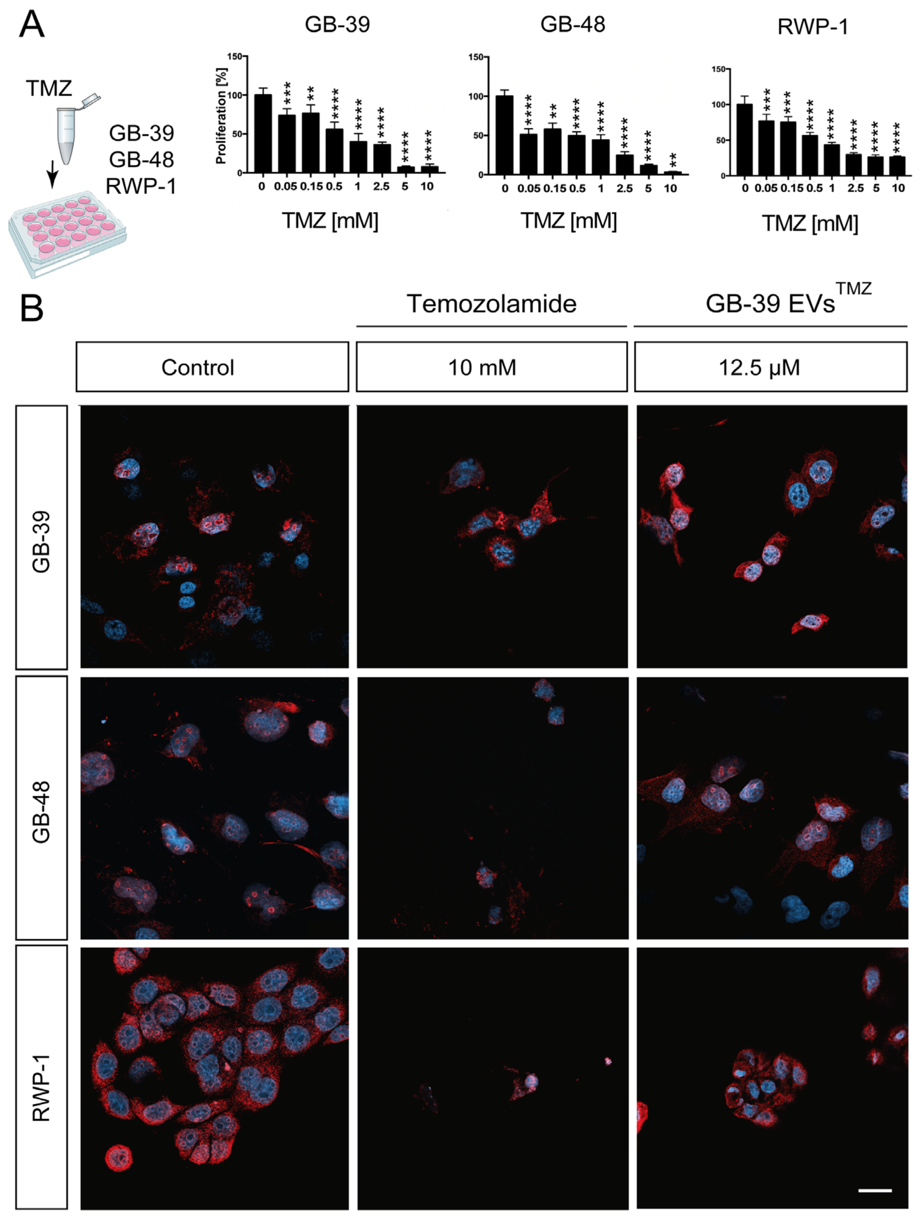 Ijms 24 05910 g004 Ijms 24 05910 g004