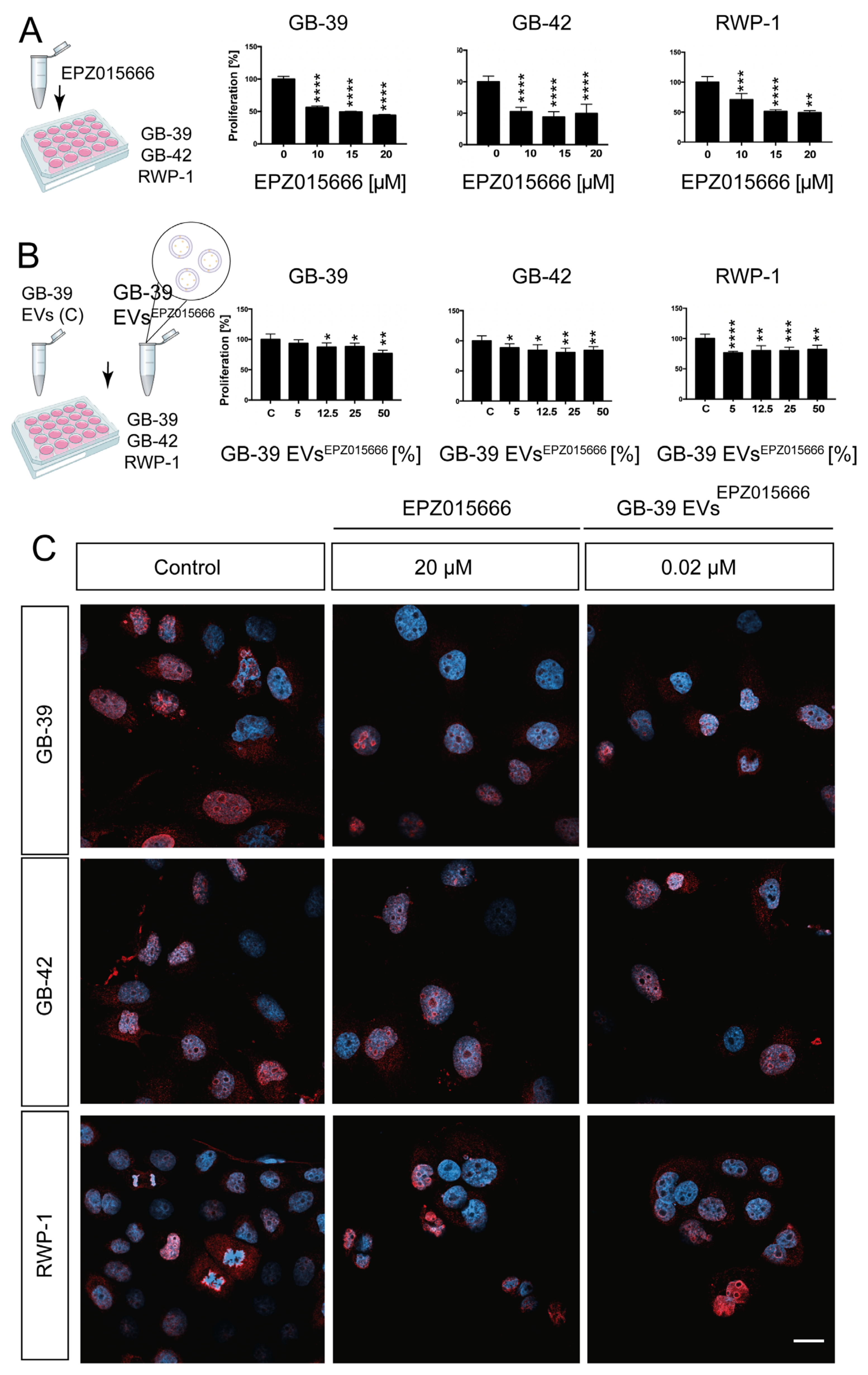 Ijms 24 05910 g006 Ijms 24 05910 g006