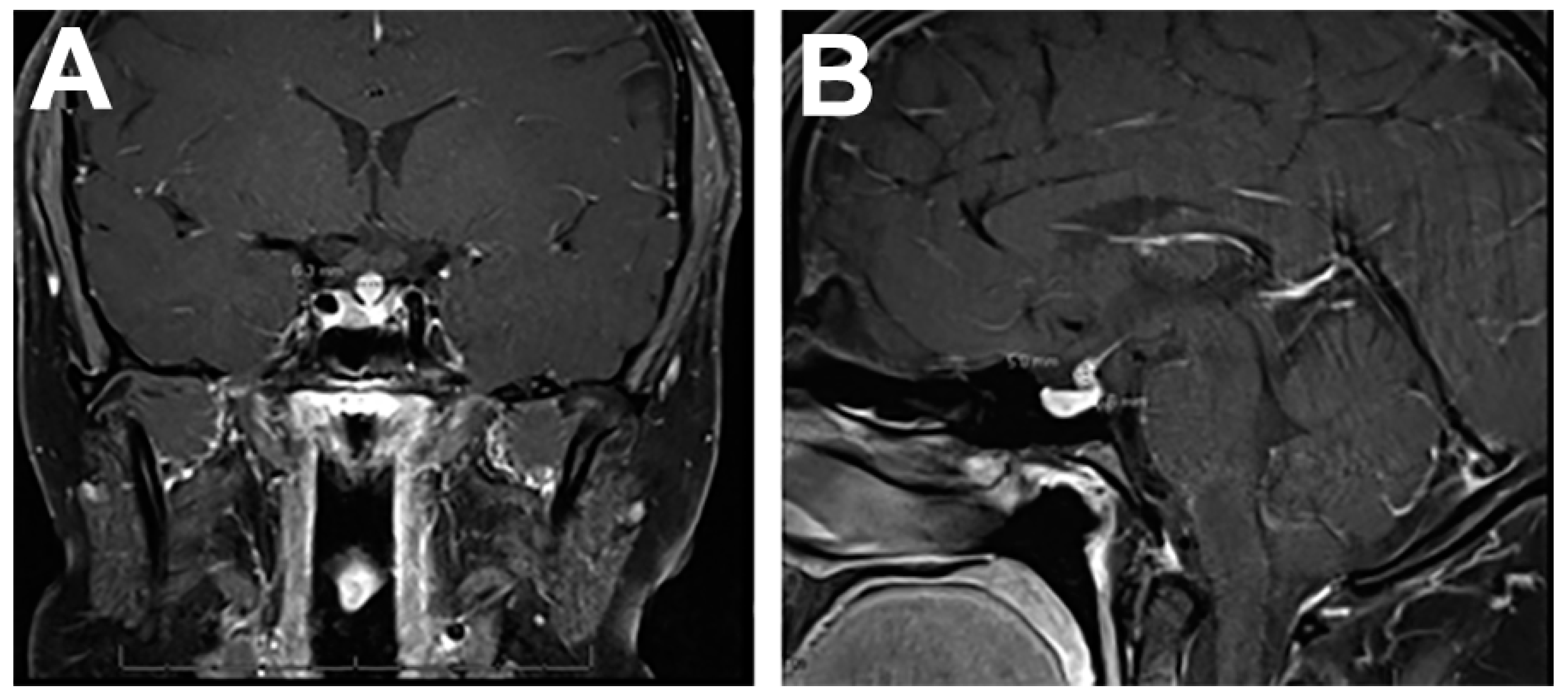 Ijms 24 05917 g002 Ijms 24 05917 g002