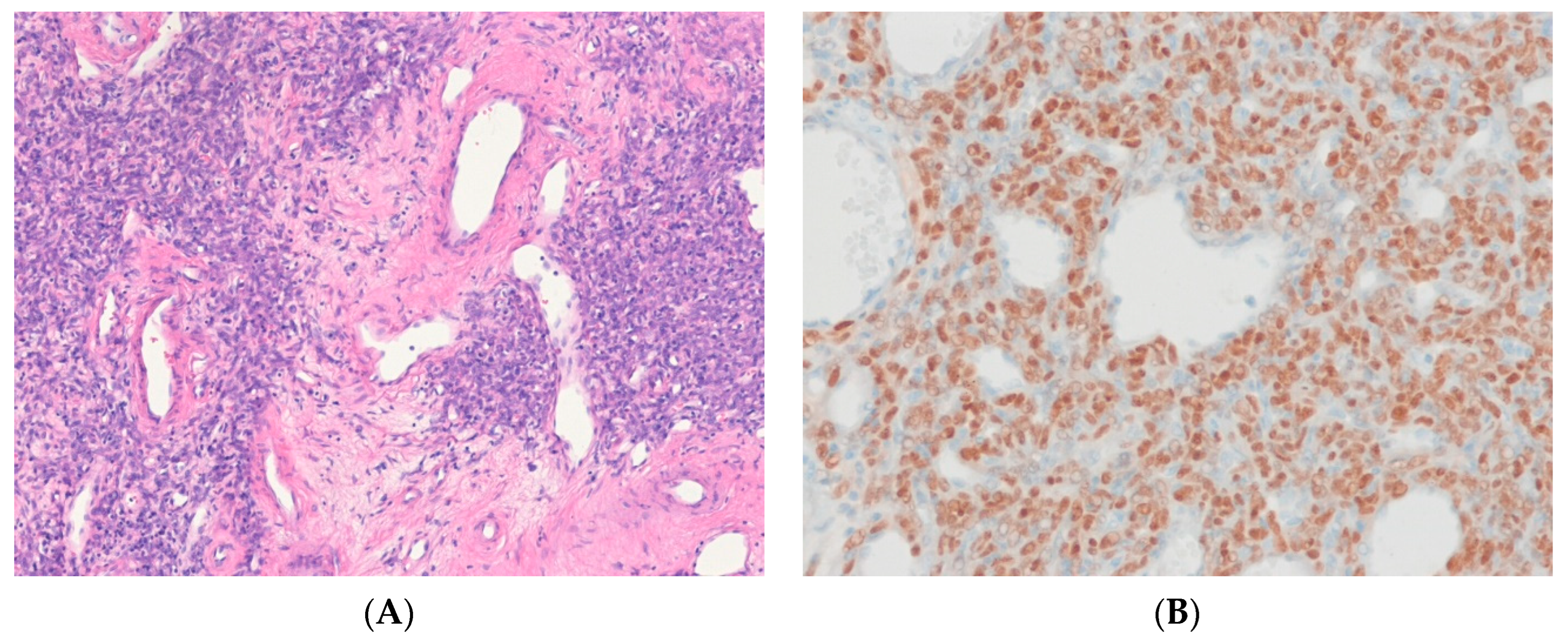 Ijms 24 05934 g002 Ijms 24 05934 g002